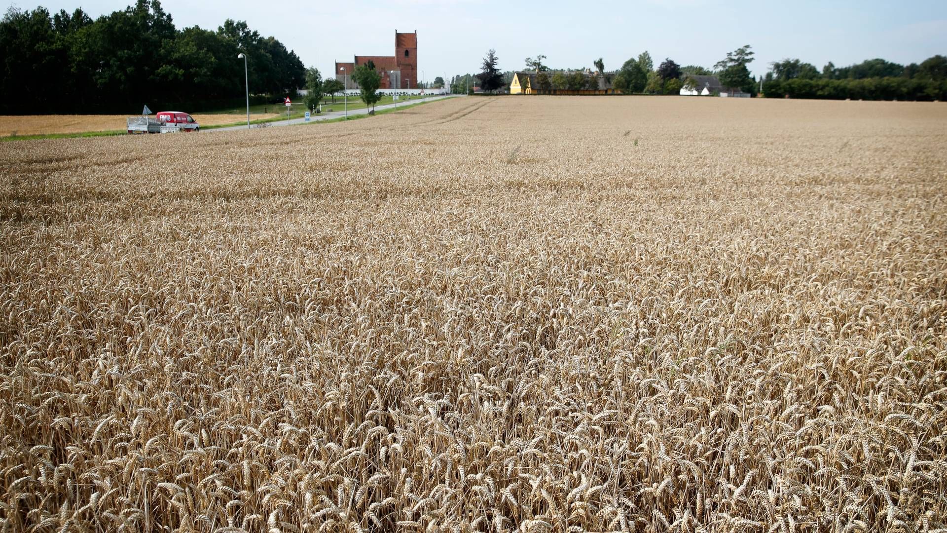 I den kommende uge vil økonomiprofessor og tidligere overvismand og en ekspertgruppe komme med sit bud på en CO2-afgift. | Foto: Jens Dresling/Politiken/Ritzau Scanpix