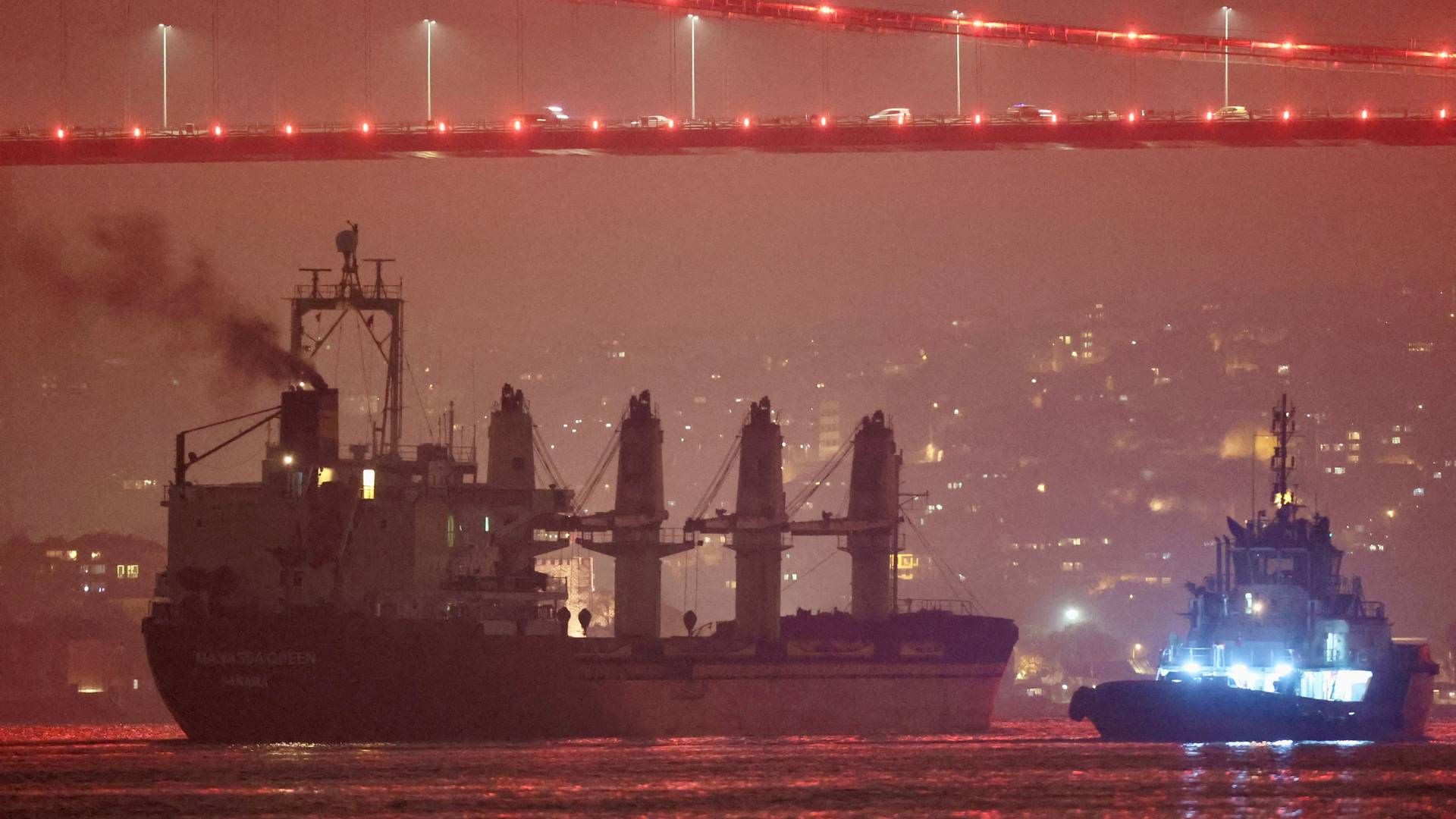 En analyse fra Transport & Environment viser, at det er urealistisk for skibsfarten at satse benhårdt på grønne brændstoffer, da tilgængeligheden er alt for lille. Det er først realistisk fra 2035, spår organisationen. | Foto: Yoruk Isik/Reuters/Ritzau Scanpix