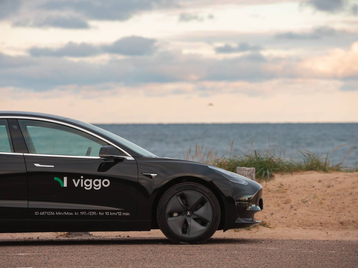 Viggo HQ gør sig klar til at rejse penge fem-seks gange frem mod 2030. | Foto: PR-foto/Viggo HQ