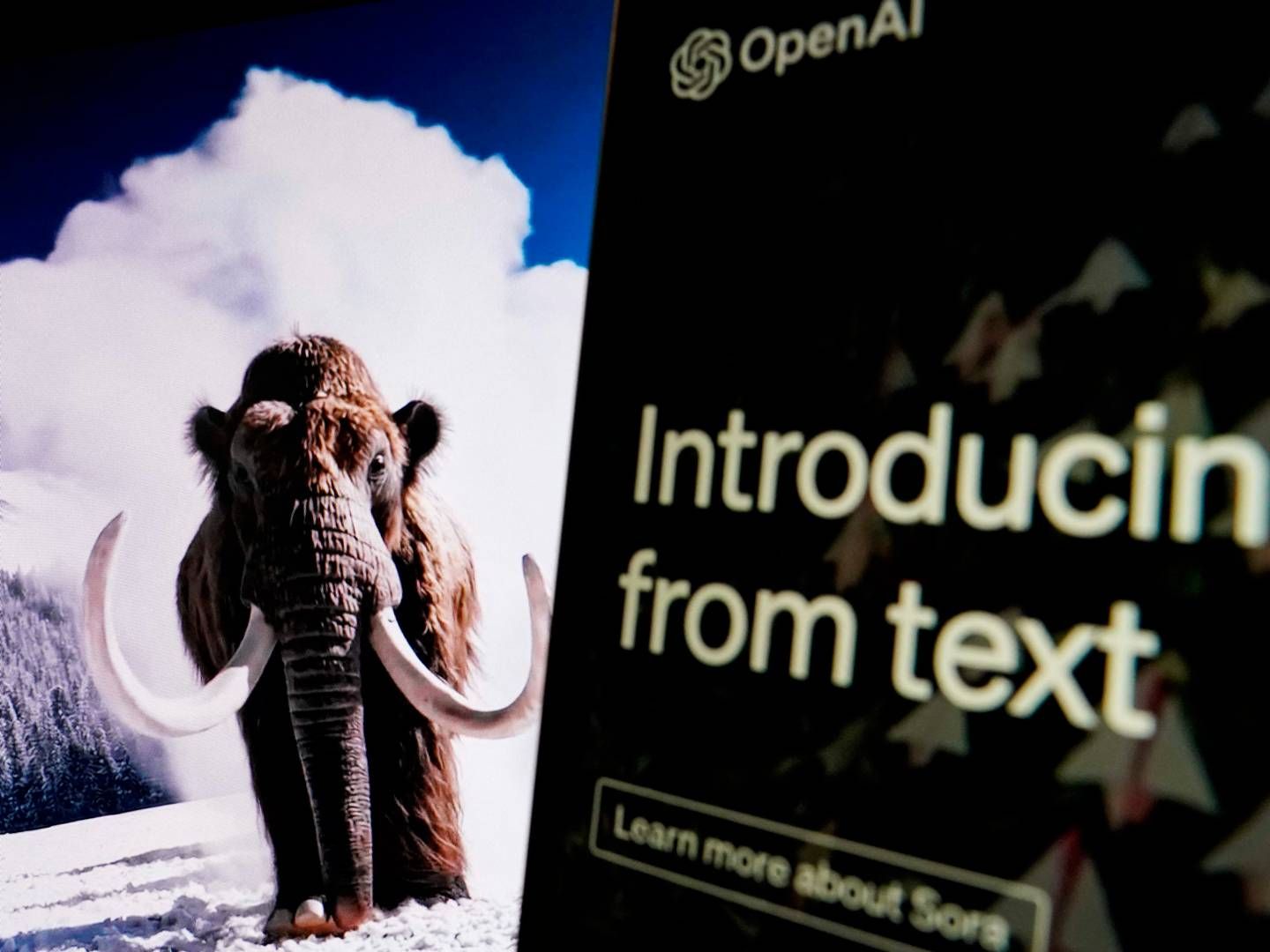 OpenAI's nye værktøj Sora kan vække tekst eller billeder til live i videoformat. | Foto: Drew Angerer/AFP/Ritzau Scanpix