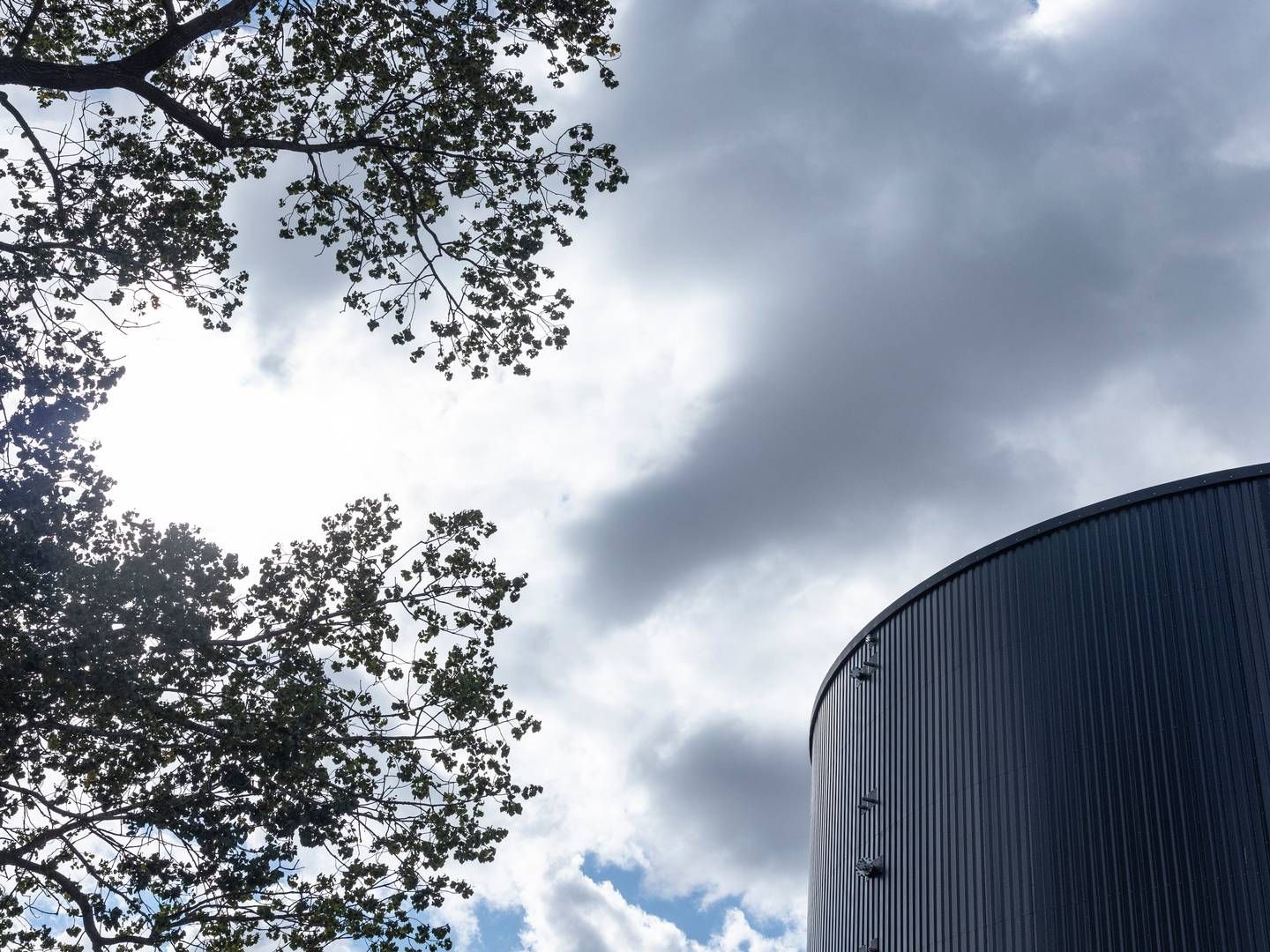 Daka, ADA Green Energy og en flok landmænd vil bygge et biogasanlæg. | Foto: Christian Falck Wolff/Ritzau Scanpix