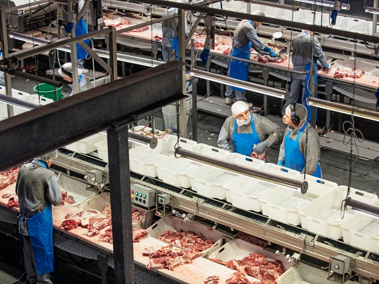 En CO2-afgift på landbruget vil, alt andet lige, føre til en mindre produktion af svin og dermed lediggang på slagtebåndene, lyder vurderingen fra Danmarks to største slagterier. | Foto: Pr / Danish Crown