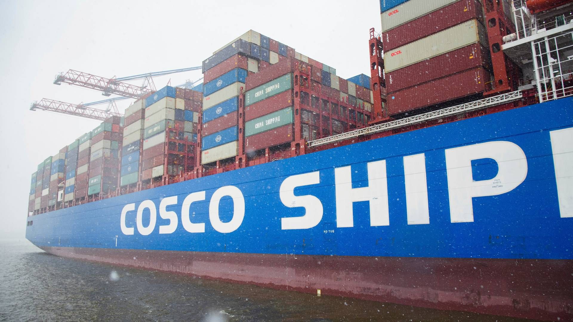 EU ETS kommer til at påvirke omkring 4000 skibe, der sejler under asiatisk flag. Ejerne er bl.a. COSCO, Anglo Eastern Ship Management og HMM. | Foto: Gregor Fischer/AP/Ritzau Scanpix