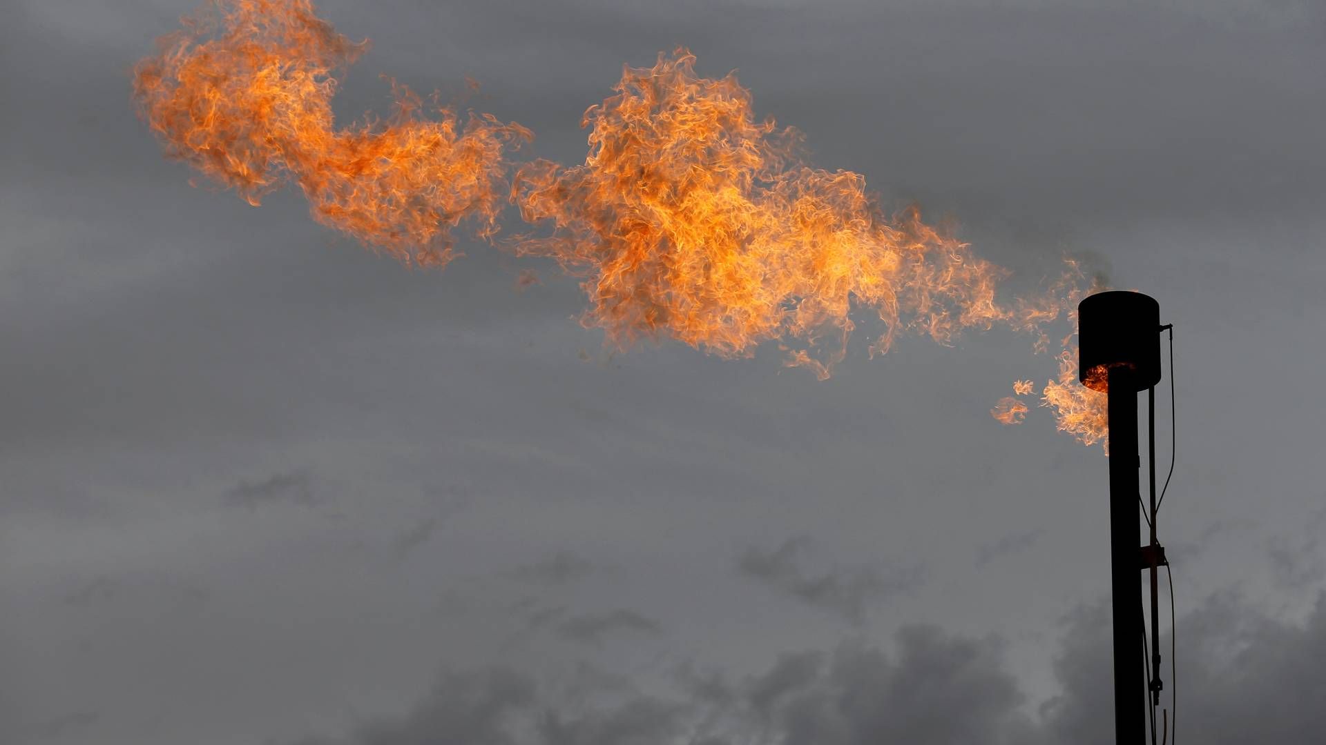Gaspriserne eksploderede i 2022 efter Putins invasion af Ukraine. I dag er der gas nok igen, og priserne er faldet, men danske virksomheder har lært af historien og vil så vidt muligt undgå afhængighed af naturgas igen. | Foto: Angus Mordant