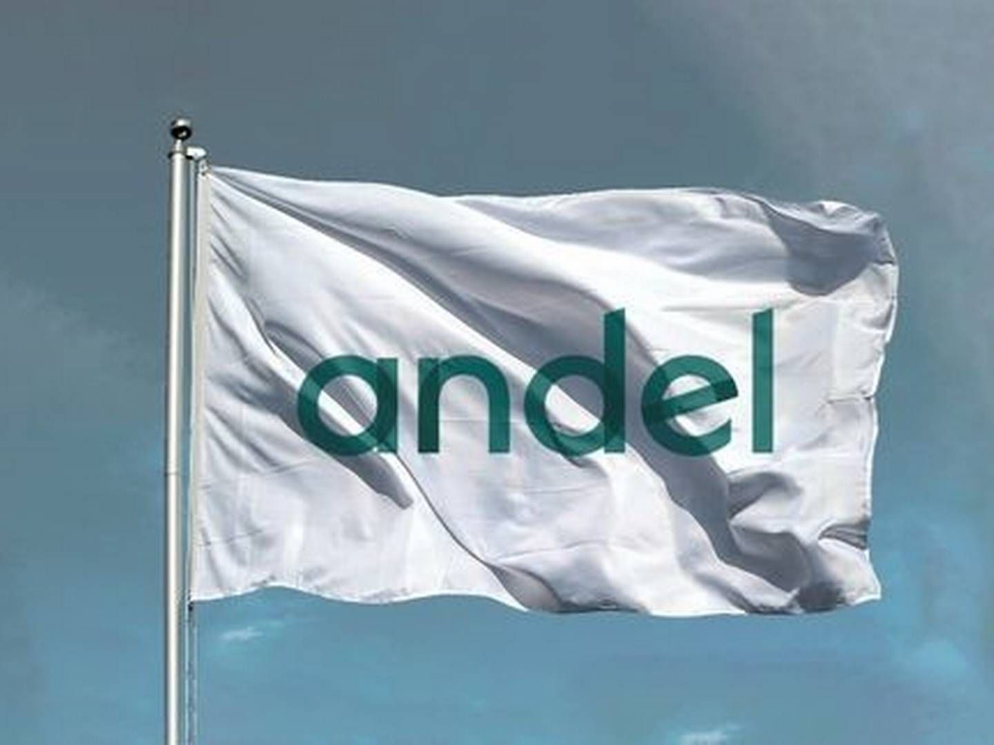 Andel er Danmarks største energikoncern, efter at det andelsejede selskab i 2019 købte Radius Elnet af Ørsted for 21 mia. kr. De 1,1 mio. Radius-kunder er ikke blevet andelshavere i Andel. | Foto: Pr Andel/ Seas Nve