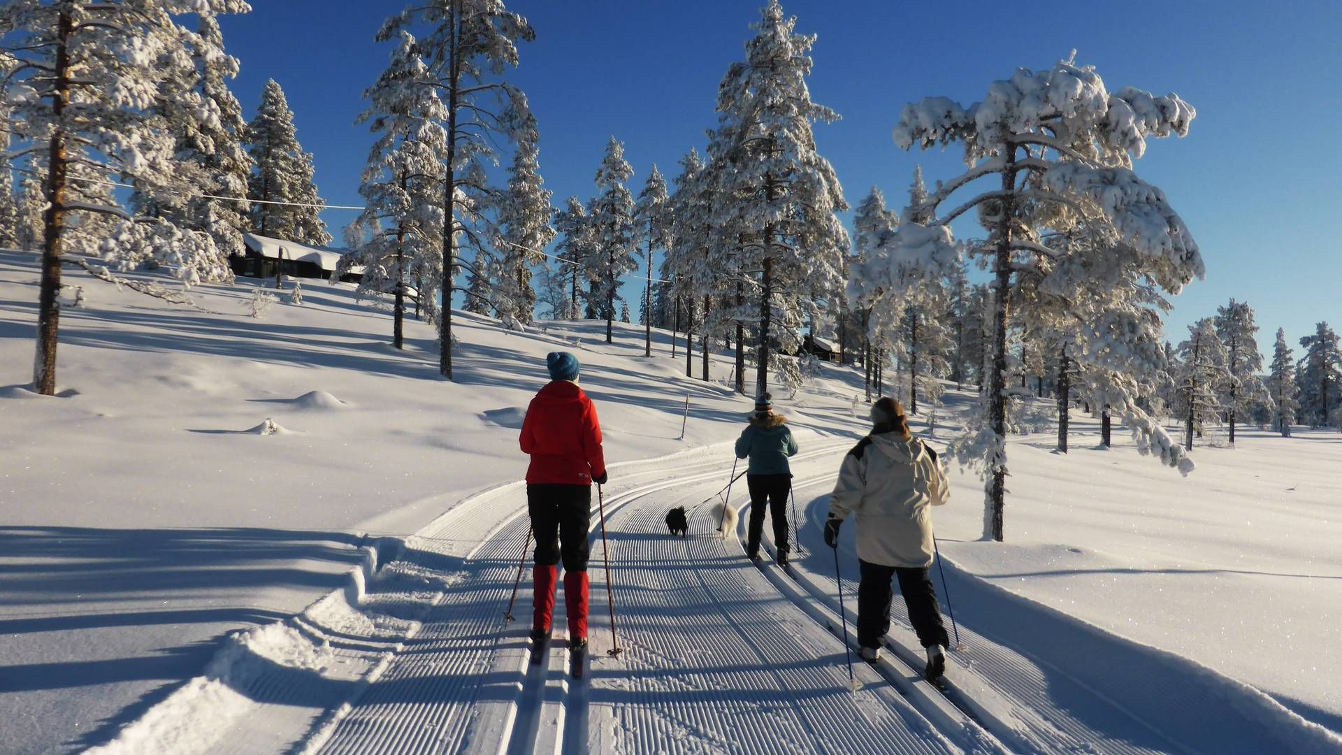 HØYESTE PRIORITET: Vinterferie har stått i fokus fremfor eiendomshandler. | Foto: Berit Keilen / NTB