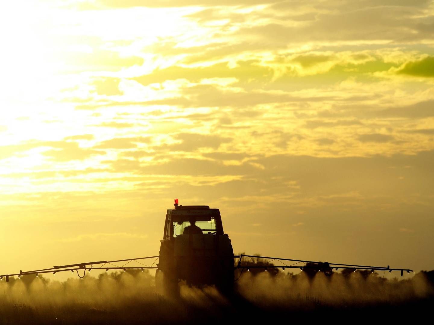 Biosolutions kan potentielt erstatte pesticider flere steder. | Foto: Thomas Borberg