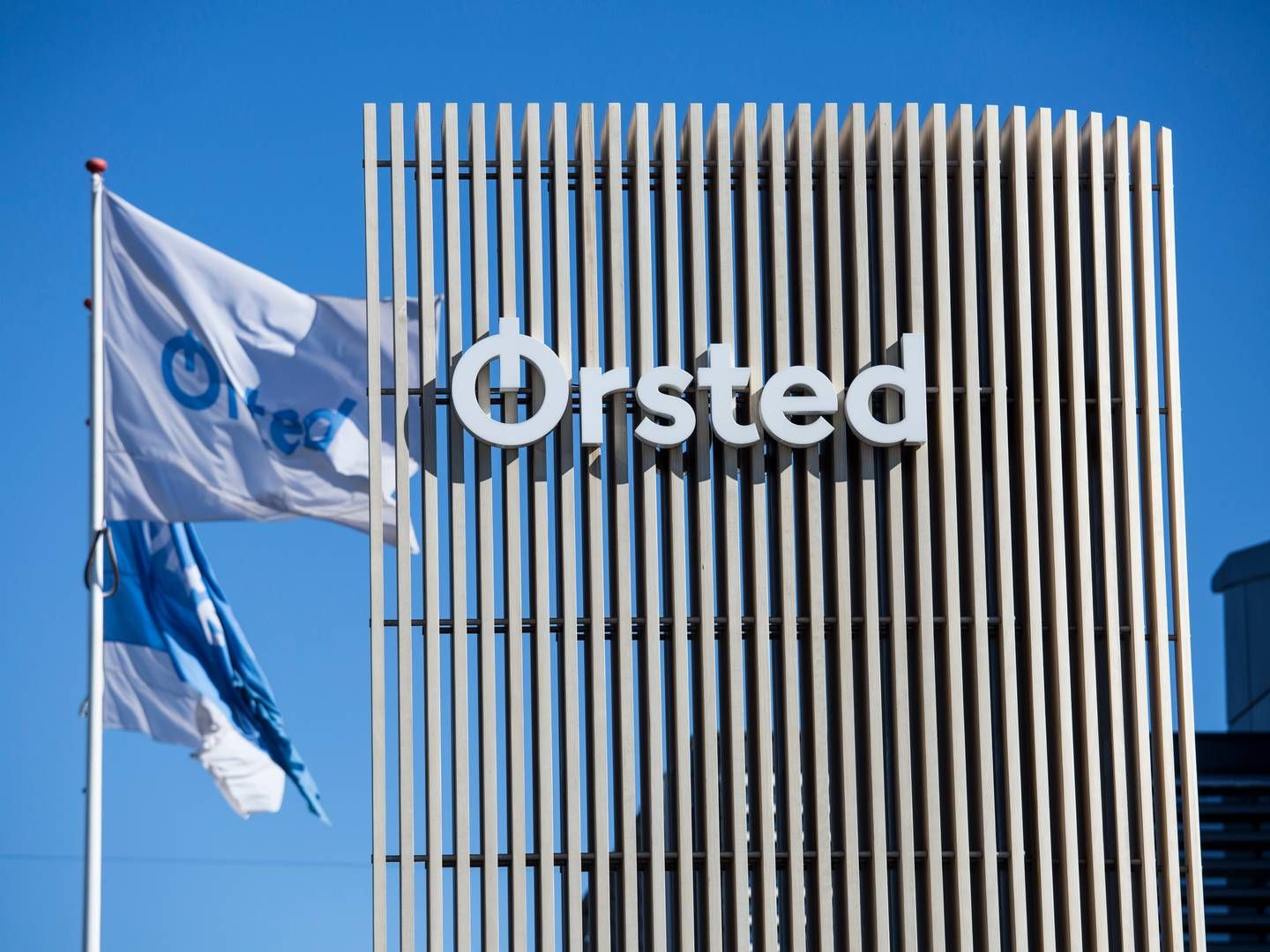 Ørsted is looking for a new Head of Global Corporate Communication. | Photo: Ørsted