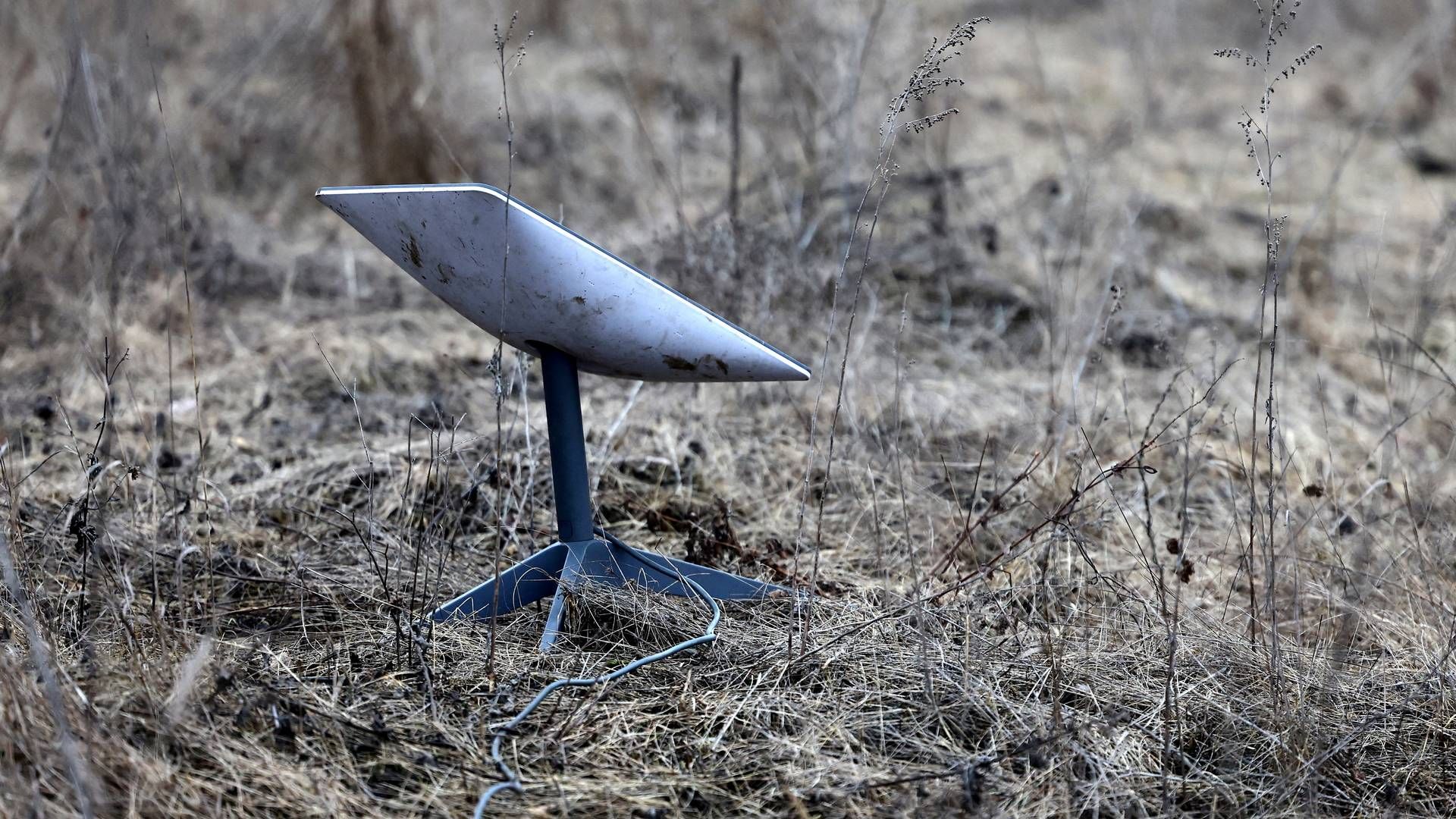 Starlink-satellitterne har stor betydning for både kommunikation og overvågning af frontlinjerne i Ukraine, hvor Rusland på tredje år forsøger at erobre land og besætte sit naboland mod vest. | Foto: Lisi Niesner