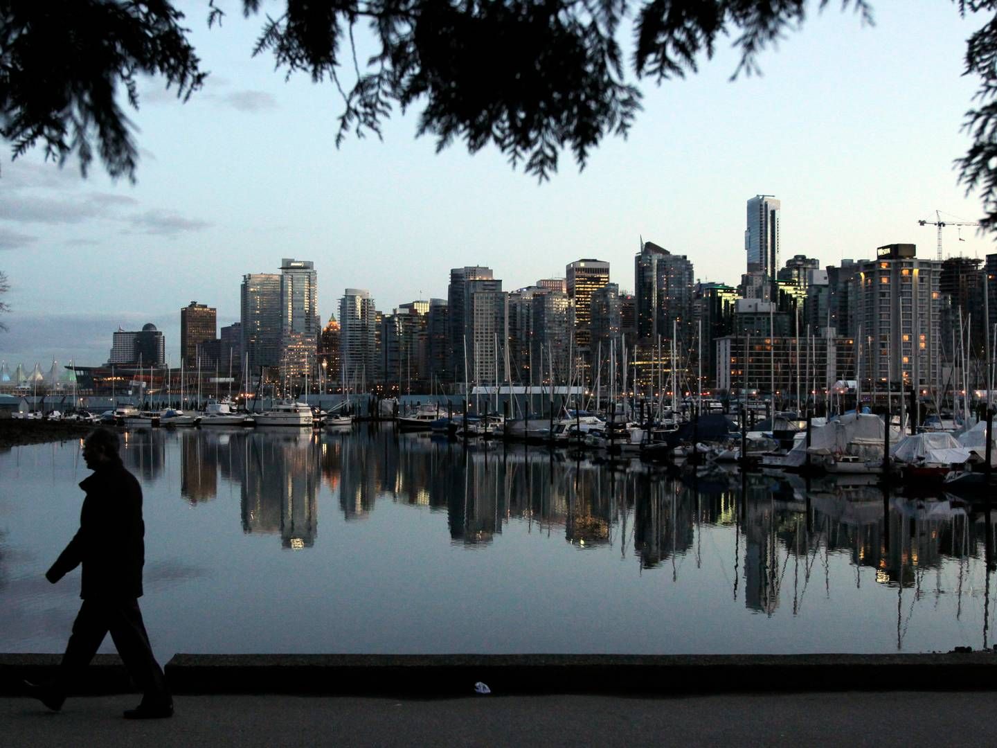 Advokat Chong Ke holder til i den canadiske by Vancouver, der ligger i regionen Britisk Columbia på landets vestkyst. | Foto: Jae C. Hong/AP/Ritzau Scanpix