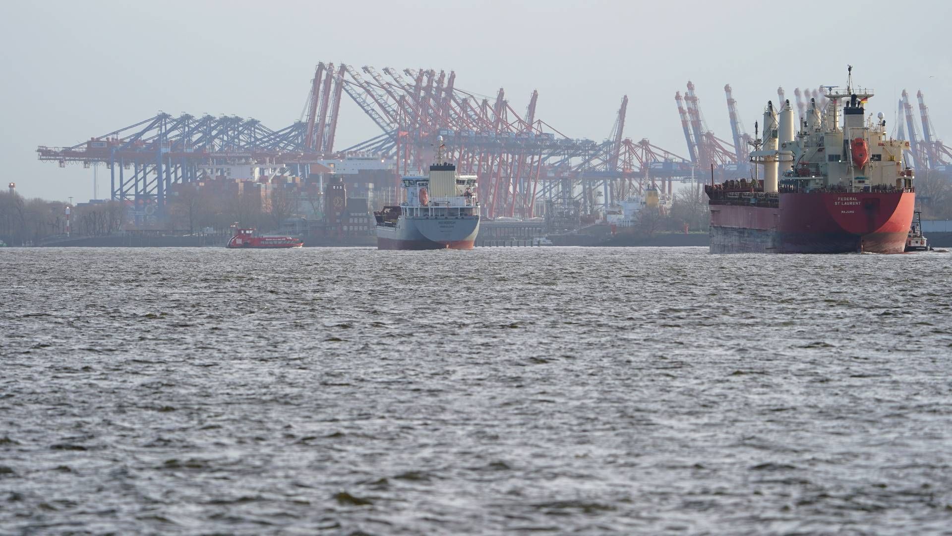 The long-term development of the Port of Hamburg must be much better secured through public investment, according to regional business organizations. | Photo: Marcus Brandt/AP/Ritzau Scanpix