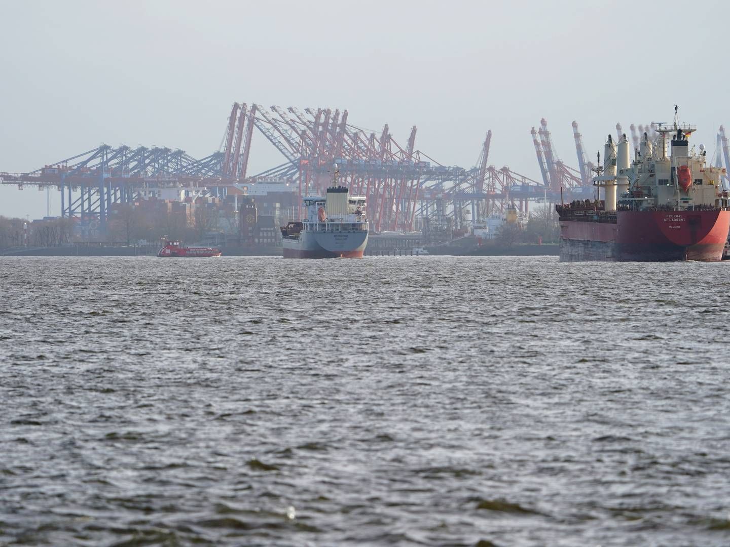 Den langsigtede udvikling af havnen i Hamborg skal sikres langt bedre gennem offentlige investeringer, opfordrer regionale erhvervsorganisationer. | Foto: Marcus Brandt/AP/Ritzau Scanpix