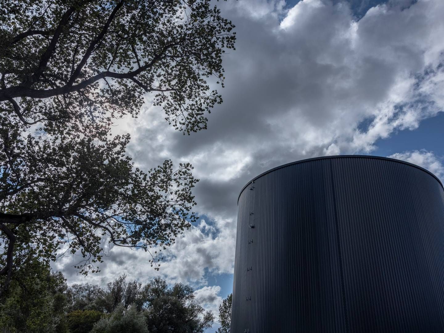 Selskabet er ved at omlægge produktionen på det ene biogasanlæg til flydende gasproduktion. | Foto: Christian Falck Wolff