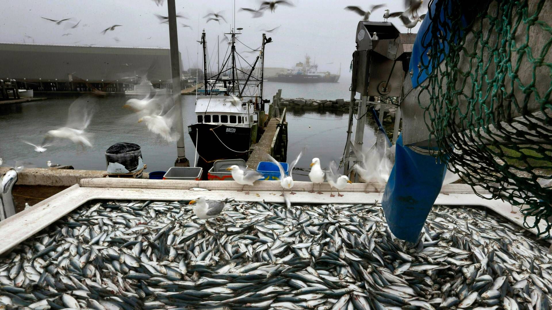 Foto: Robert F. Bukaty/AP/Ritzau Scanpix