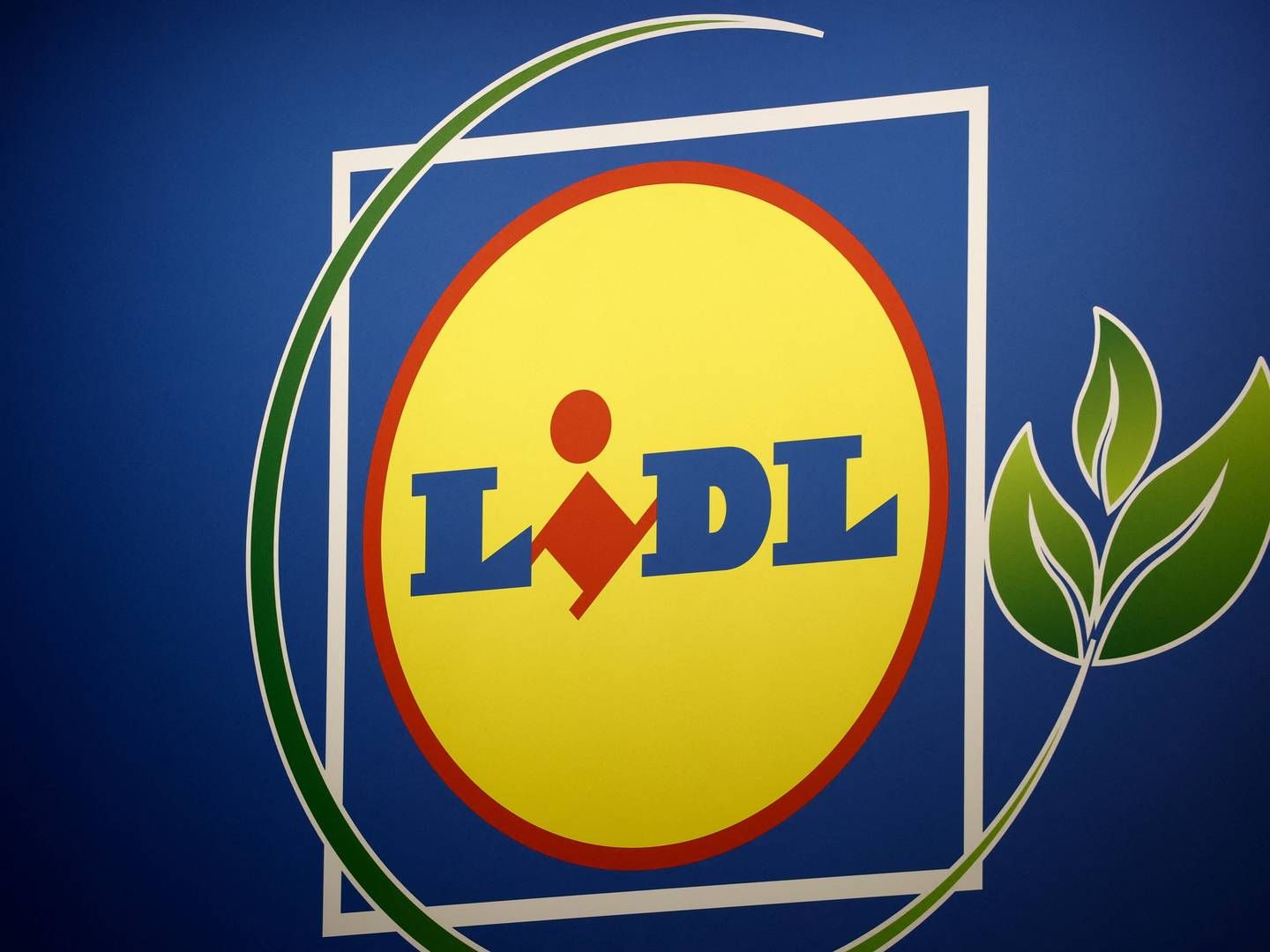 The Lidl chain is venturing into logistics after launching container shipping company Tailwind Shipping Lines. | Photo: Benoit Tessier/Reuters/Ritzau Scanpix