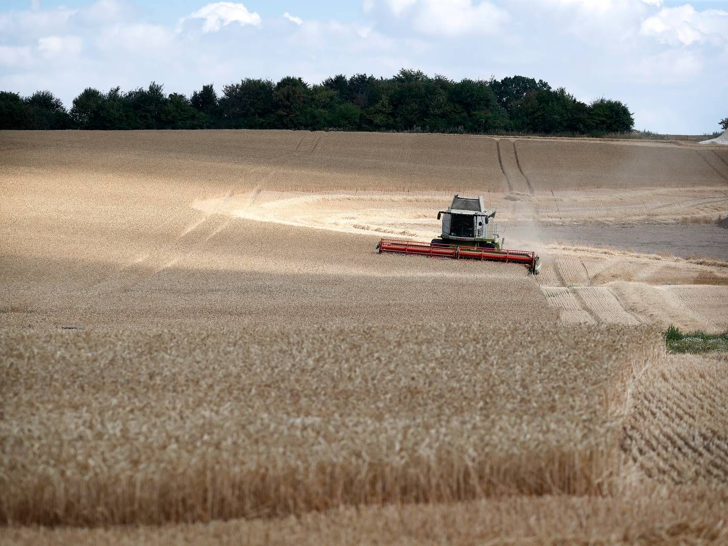 Trods flere tiltag er der stadig mange arbejdsulykker i landbruget. | Foto: Jens Dresling/Ritzau Scanpix