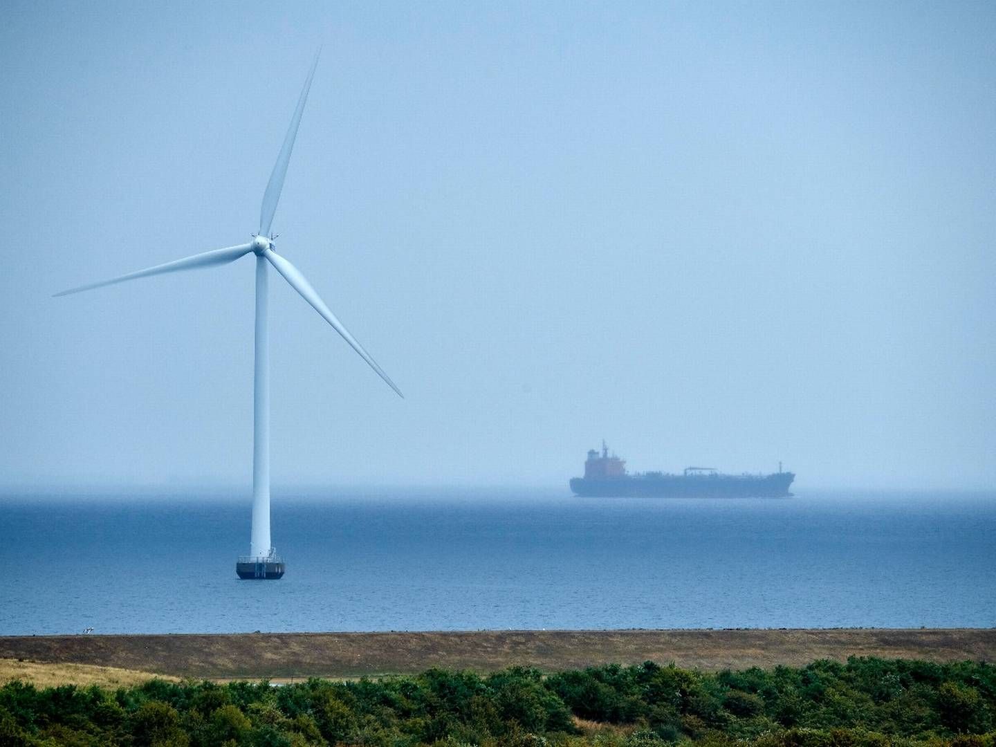 ”Kort efter den russiske invasion i 2022, tog Torm et klart standpunkt om ikke at indgå ny forretning, der involverer russiske kunder eller havne,” siger Torm i en skriftlig kommentar til ShippingWatch. | Foto: Carsten Lundager