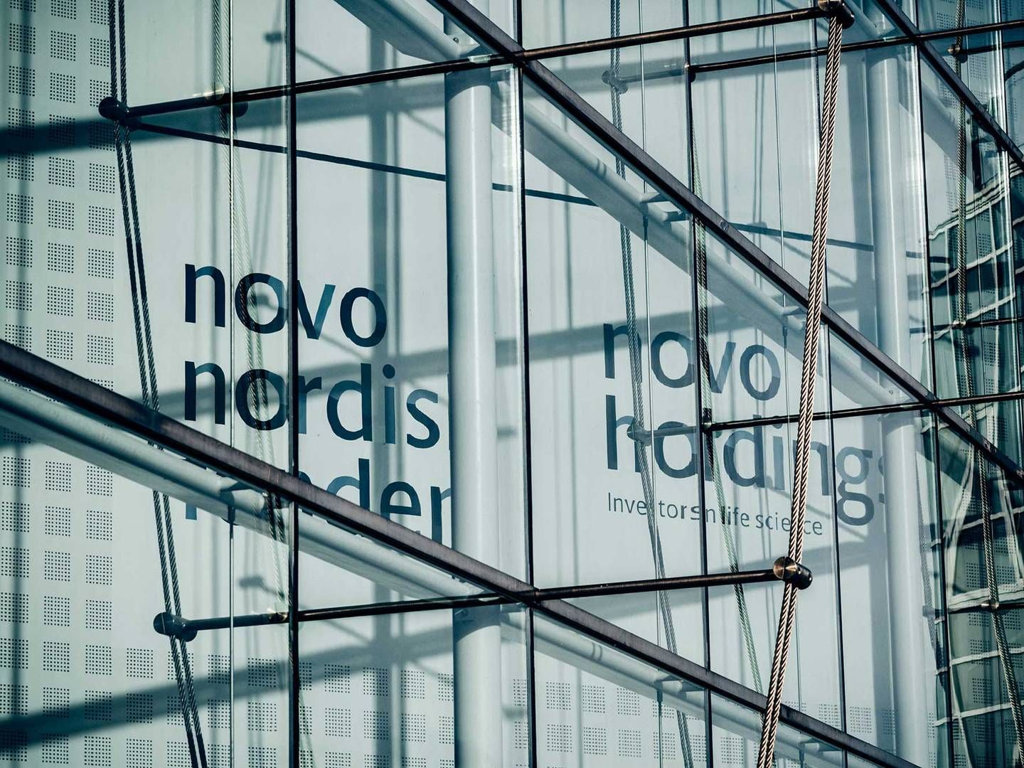 Novo Nordisk now holds total assets of DKK 1,114bn. | Photo: Novo Holdings / Pr