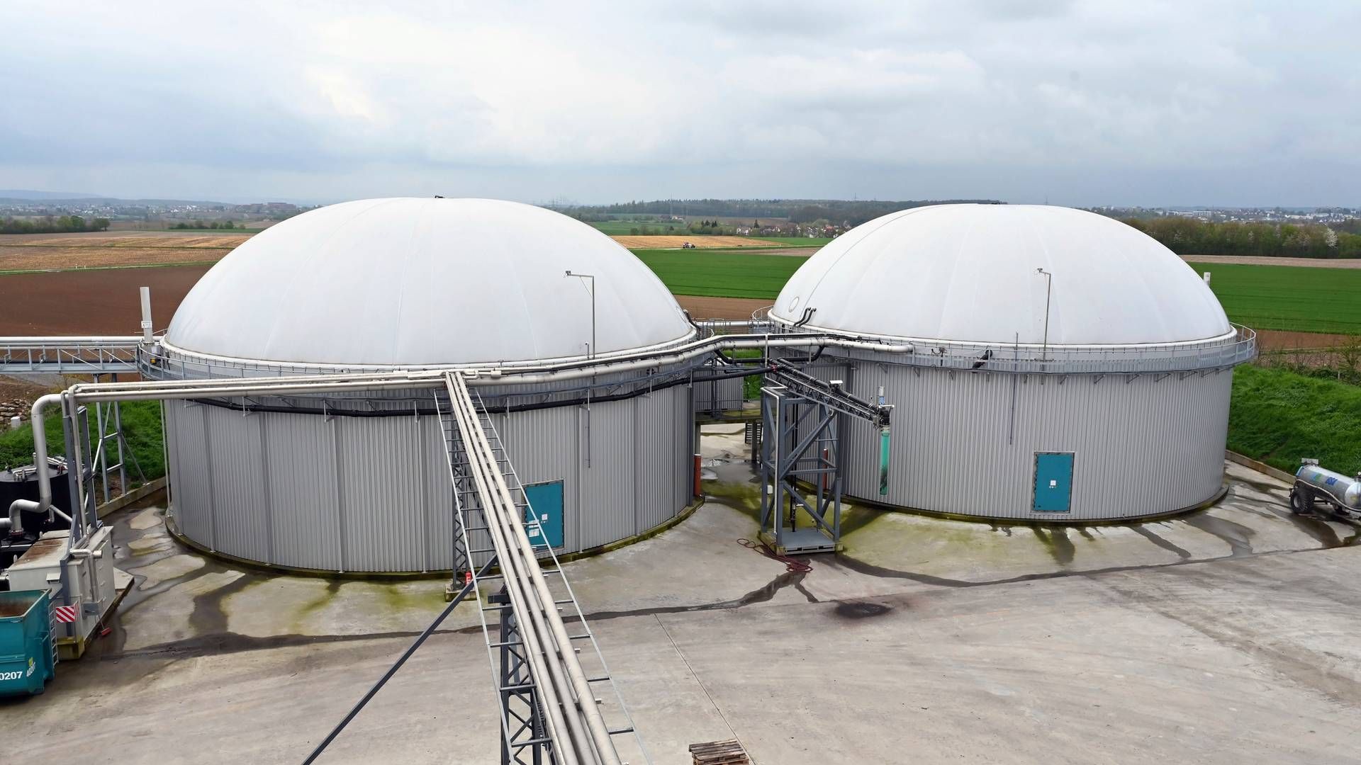 NLM Vantinge leverer bl.a. flydende fedt til biogasproduktion. | Foto: Uli Deck/AP/Ritzau Scanpix