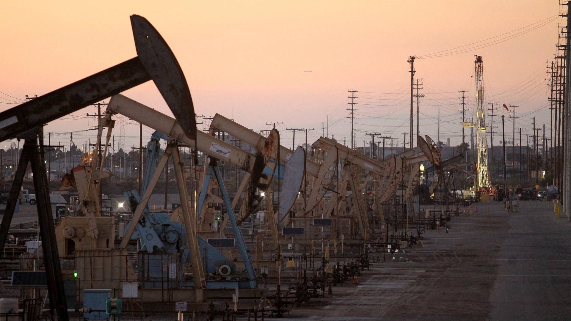 Hos IEA finder man det dog muligt, at Opec+ kan øge olieproduktionen i andet halvår | Foto: David Mcnew/Reuters/Ritzau Scanpix