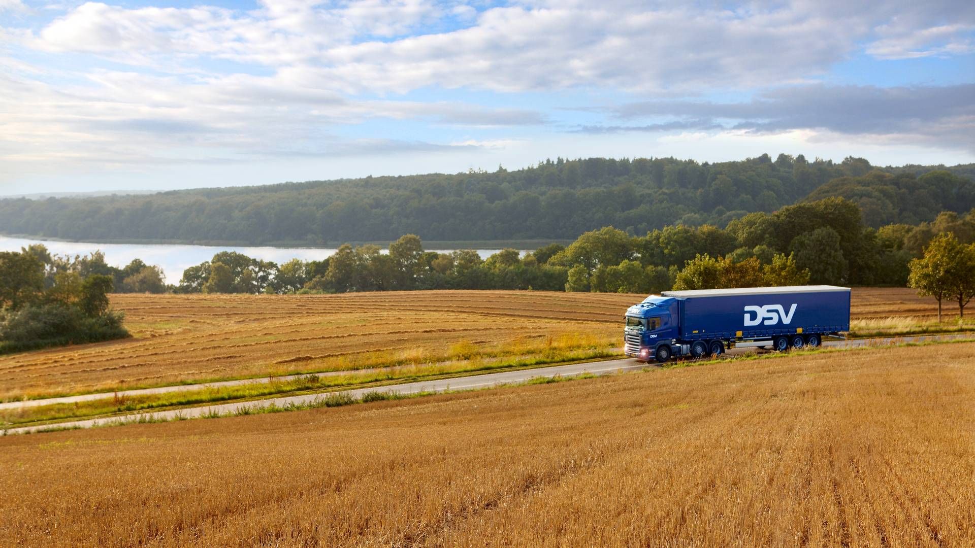 "Alle vores konkurrenter gik også tilbage på bruttoindtjeningen," lød det fra bestyrelsesformanden. | Foto: DSV Panalpina