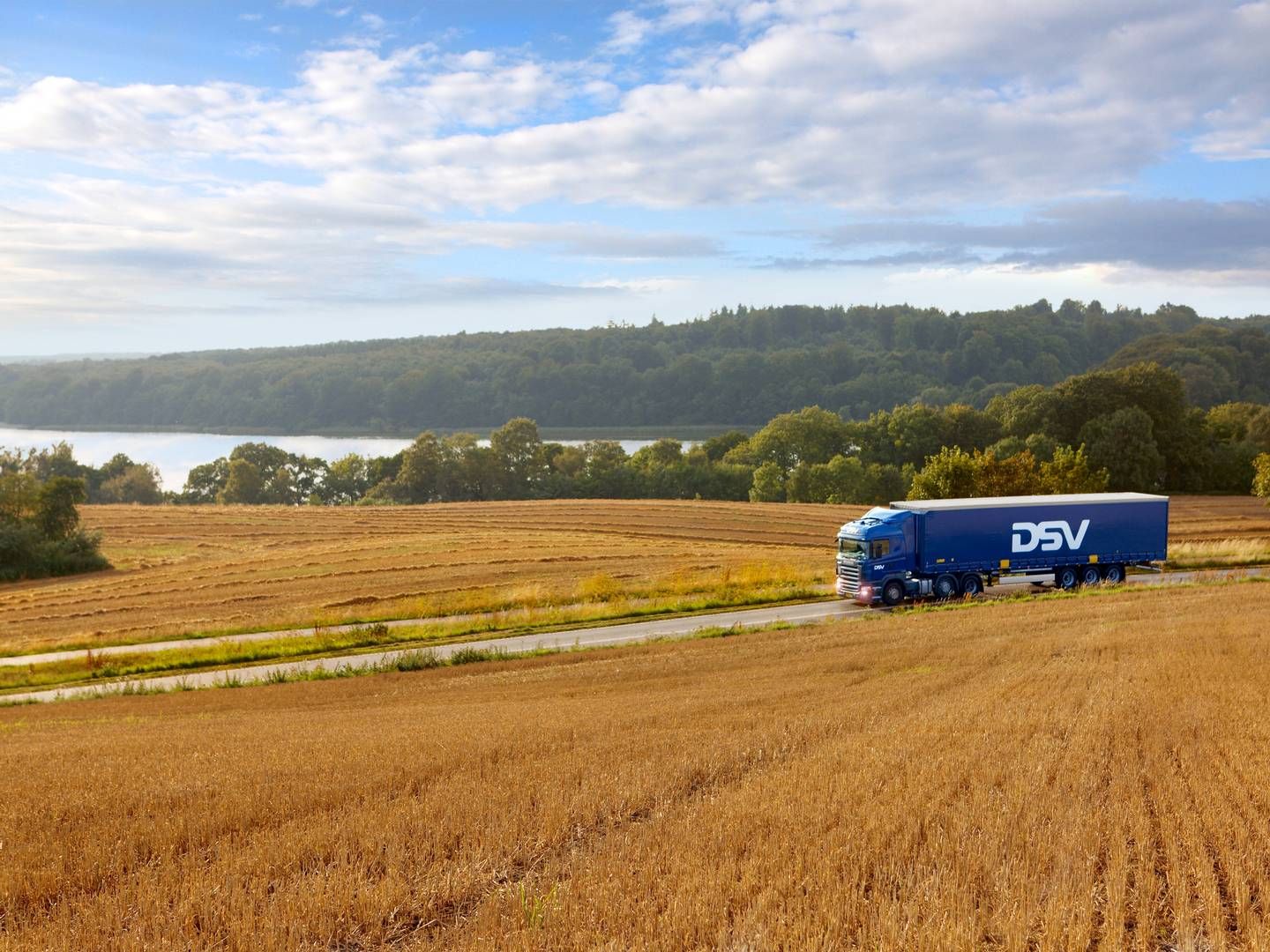 "Alle vores konkurrenter gik også tilbage på bruttoindtjeningen," lød det fra bestyrelsesformanden. | Foto: DSV Panalpina