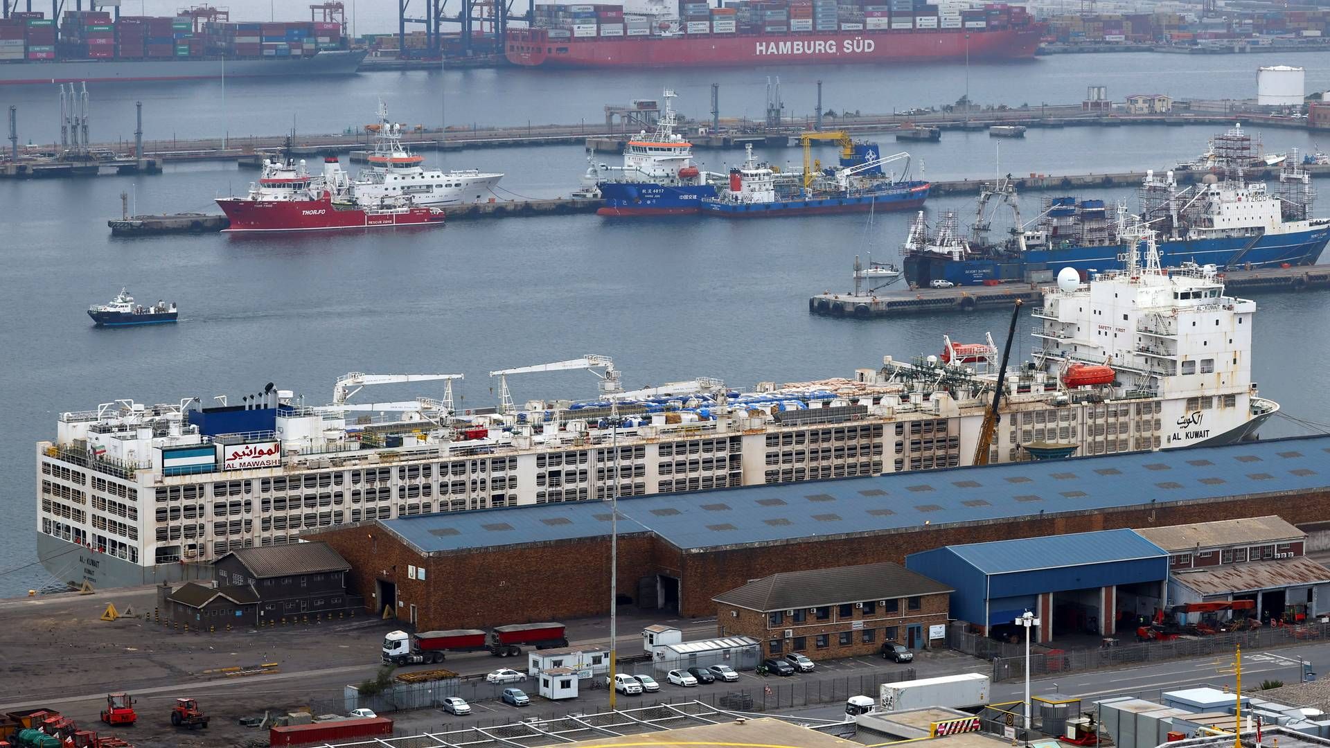 "De fleste havne i Afrika er ineffektive og ikke i den bedste stand til fuldt ud at kunne udnytte alle fordelene,” siger Vinny Licata, der er logistikchef i Fictivs. På billedet ses havnen i Cape Town.