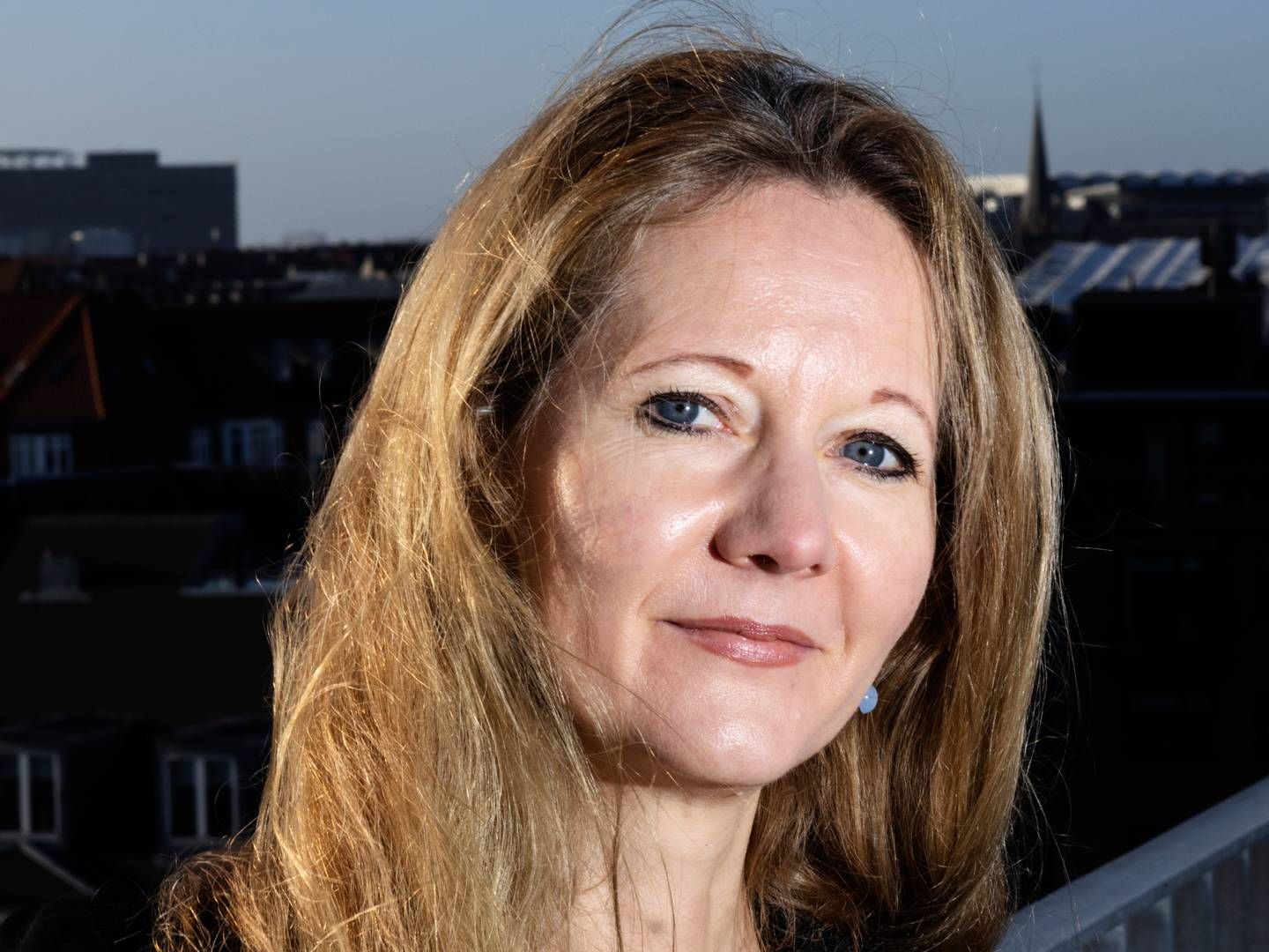 Heidi Ravnholt er kontorchef for Finanstilsynets kontor for forebyggelse af hvidvask og terrorfinansiering. | Foto: Gregers Tycho