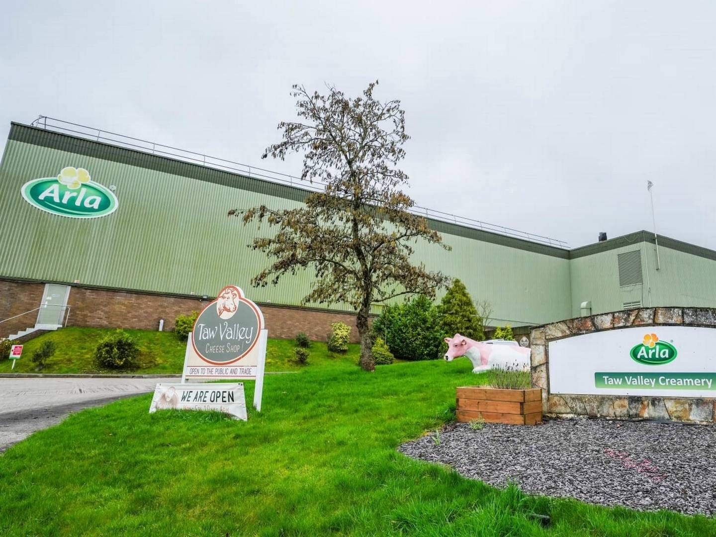 Investeringen er den største enkeltinvestering til dato for Arla Foods' vedkommende. | Foto: PR/Arla Foods