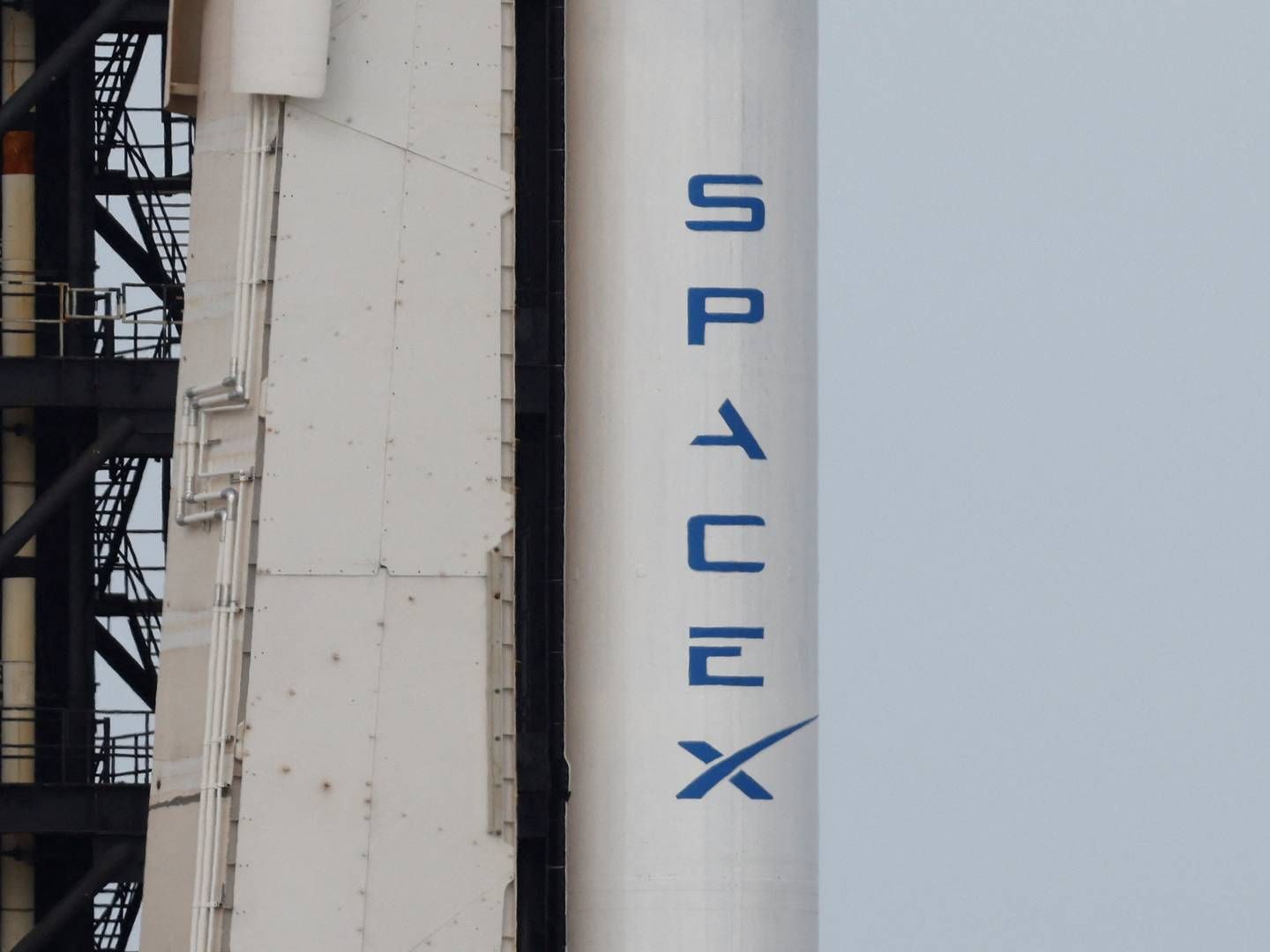 SpaceX holder liv i planen om at børsnotere Starlink, men det bliver ikke i år. | Foto: Joe Skipper/Reuters/Ritzau Scanpix