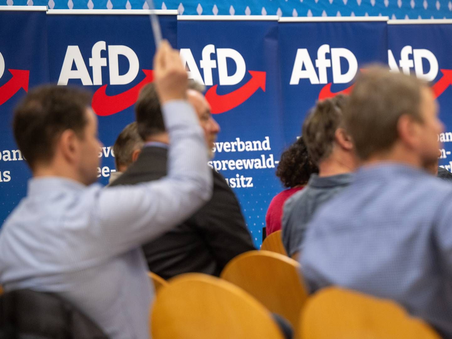 Teilnehmer des Landesparteitags AfD Brandenburg halten bei einer Abstimmung ihre Stimmkarten hoch. | Foto: picture alliance/dpa | Monika Skolimowska