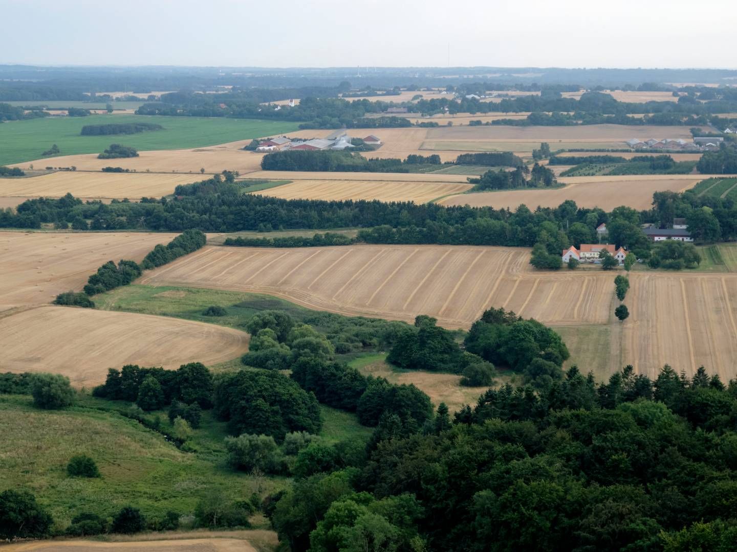 Landbrugets organisationer har fyldt markant mere i debatten om en klimaafgift end eksempelvis miljøorganisationerne. | Foto: Jens Dresling/Ritzau Scanpix