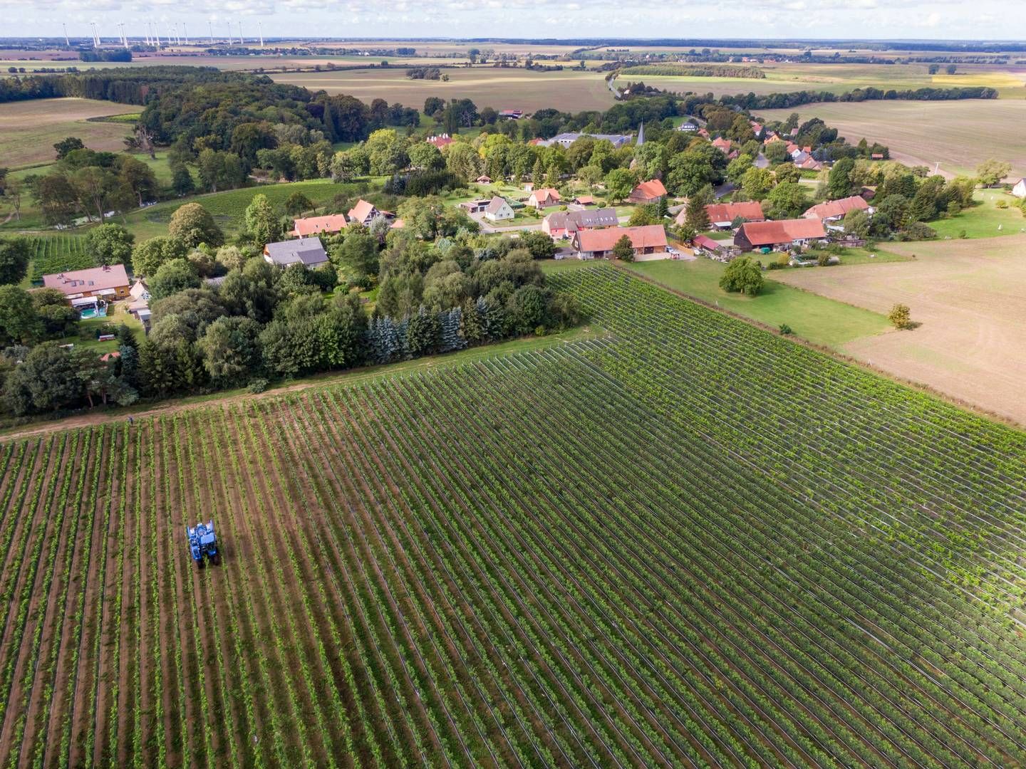 Tyske landmænd er utilfredse med vilkårnene. Nu er der måske hjælp på vej. Her er det et landbrug i Mecklenburg-Vorpommern. | Foto: Stefan Sauer/AP/Ritzau Scanpix