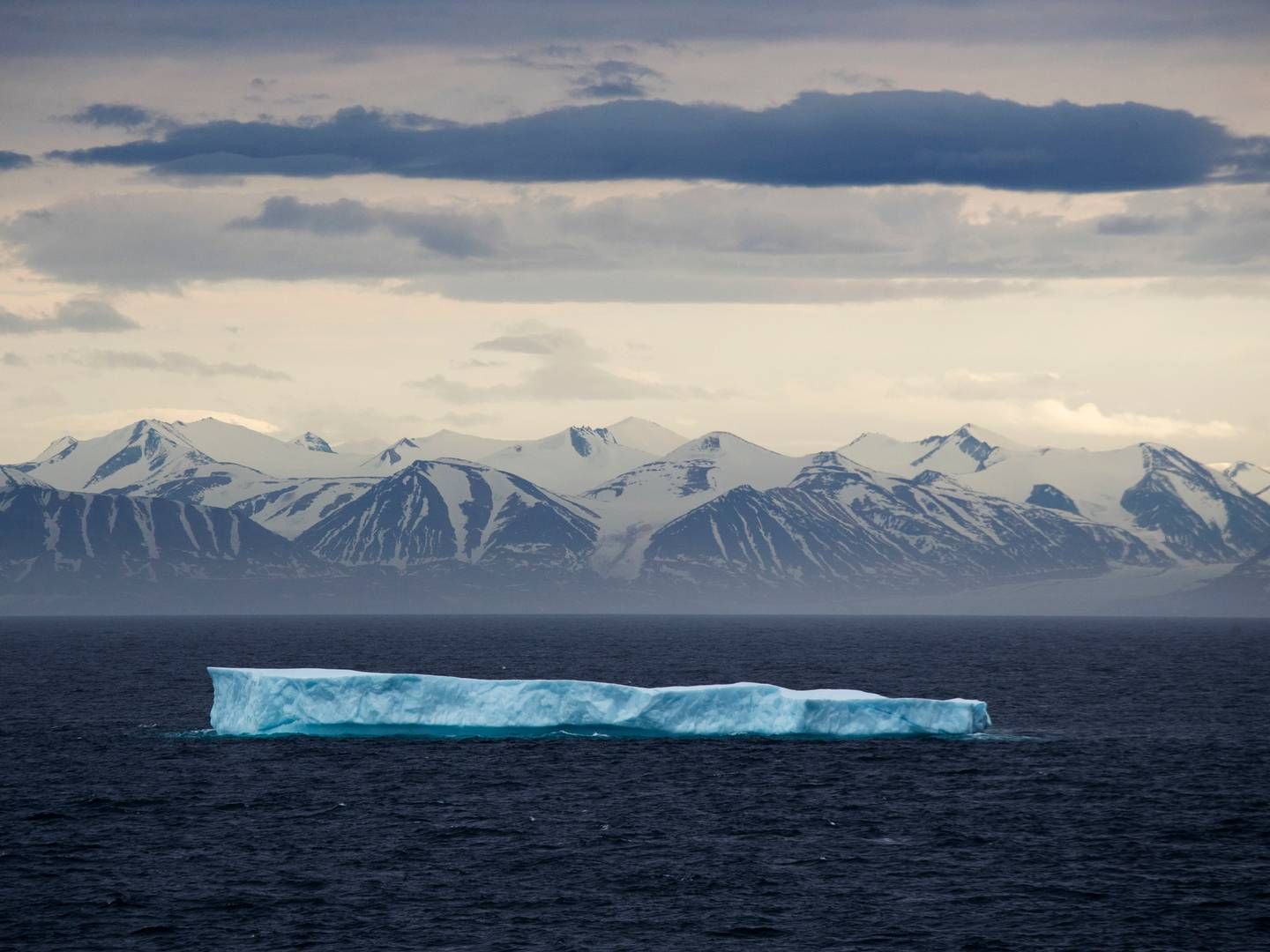 Nyhedsbureauet Ritzau laver nu et netværk for klimajournalister. | Foto: David Goldman / AP/Ritzau Scanpix