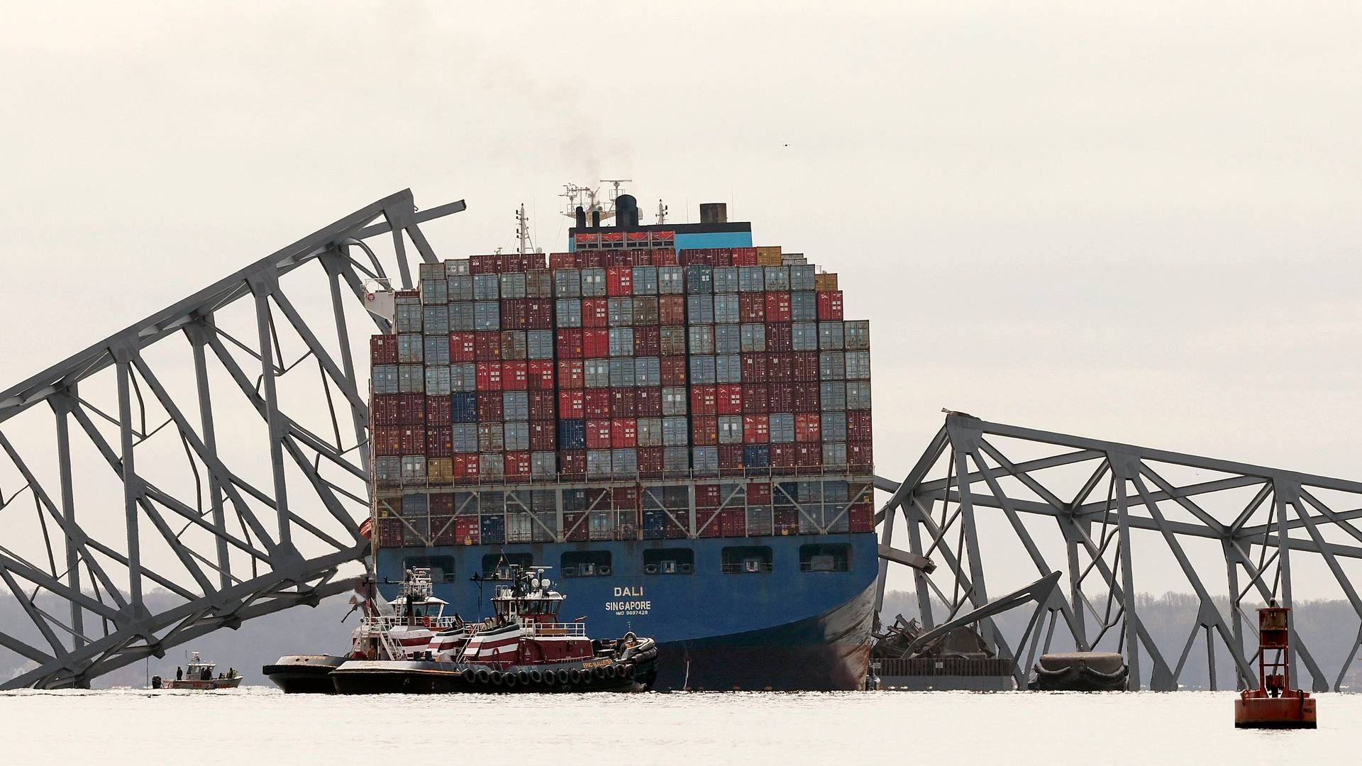 A Maersk-chartered vessel operated by Singapore-based Synergy Group collided with the Francis Scott Key Bridge on Tuesday morning local time, causing the bridge to collapse. | Photo: Kevin Dietsch/AFP/Ritzau Scanpix