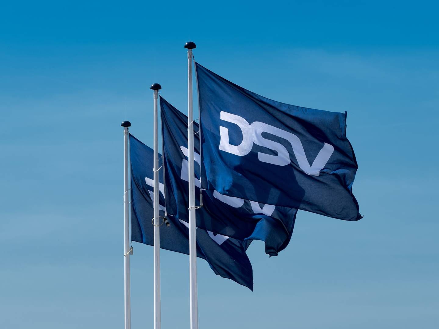 “Jeg er ret overrasket over, at der er et fald fra 2022 til 2023," lyder det fra partner i rådgivningsfirmaet Nordic Sustainability. | Foto: DSV / PR