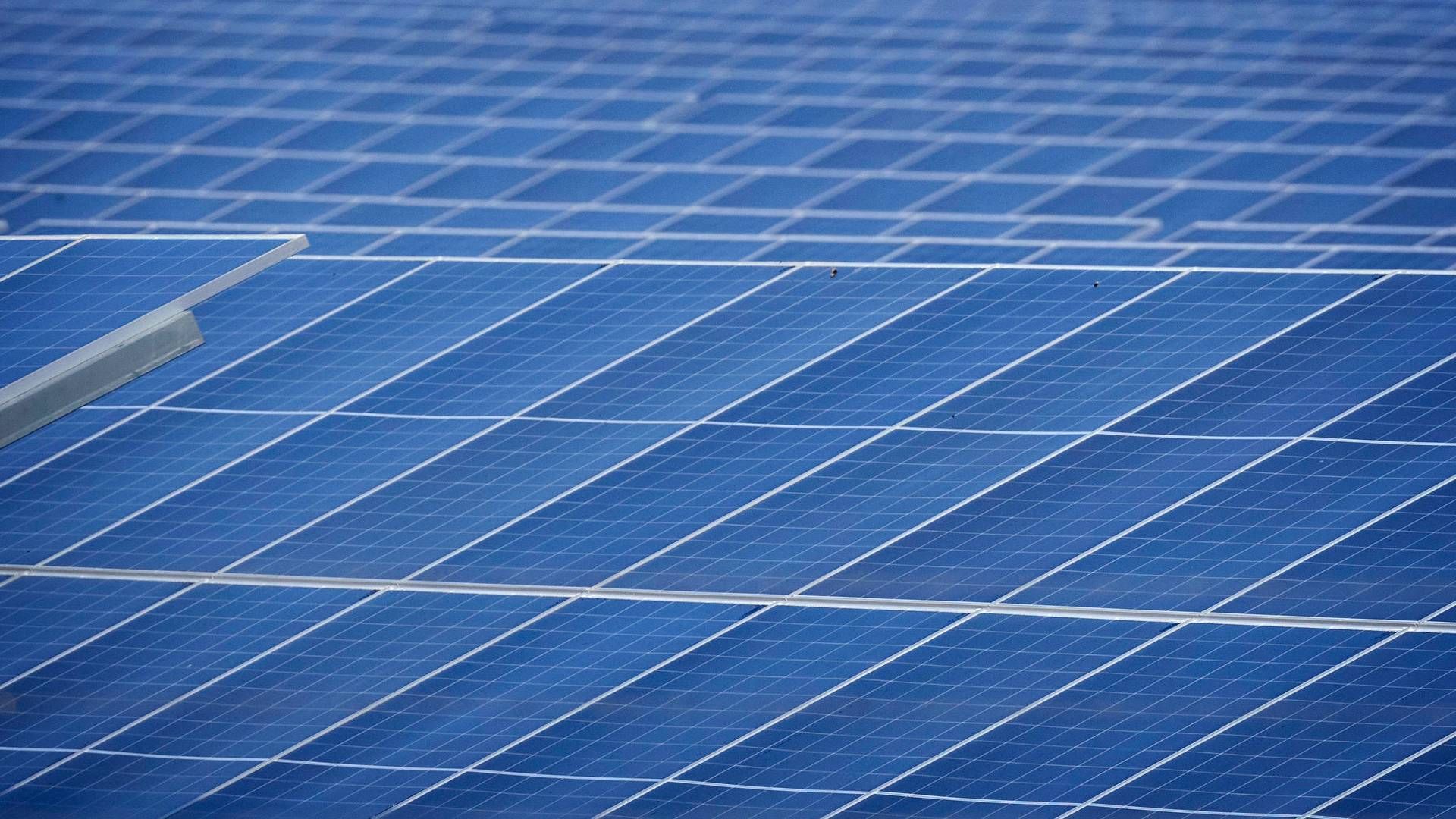 Solcelleselskabet Ennogie Solar Group havde en omsætning på 98,8 mio. kr. i 2023. | Foto: Jens Dresling/Ritzau Scanpix