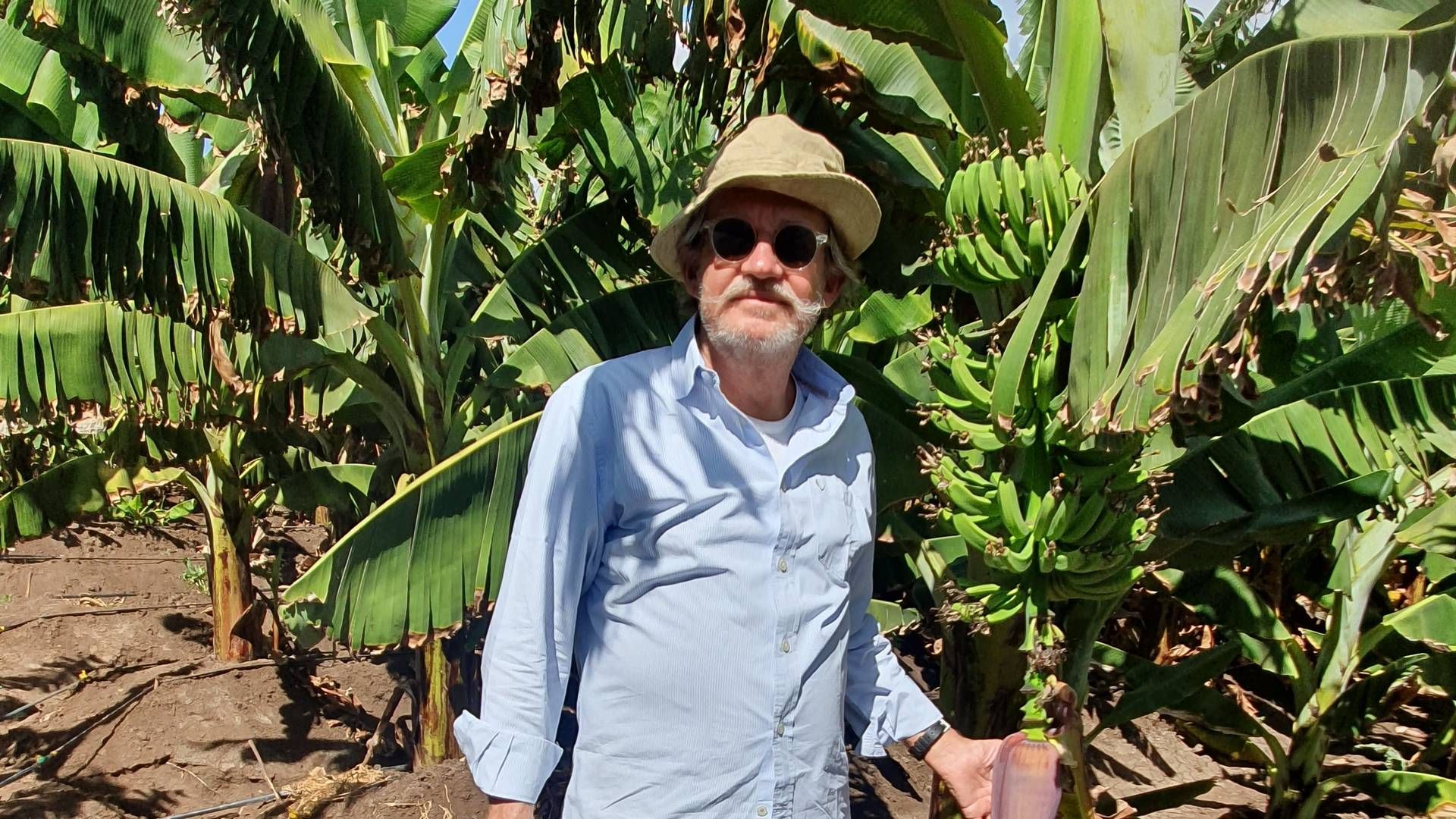 Niels Østerberg, stifter af koncernen Østerberg Holding, der ejer Orana AS og Orana Denmark, der producerer og sælger juice og frugt på markeder både inden- og udenfor Europa. Fotoet er fra hans egen bananplantage i Kenya.