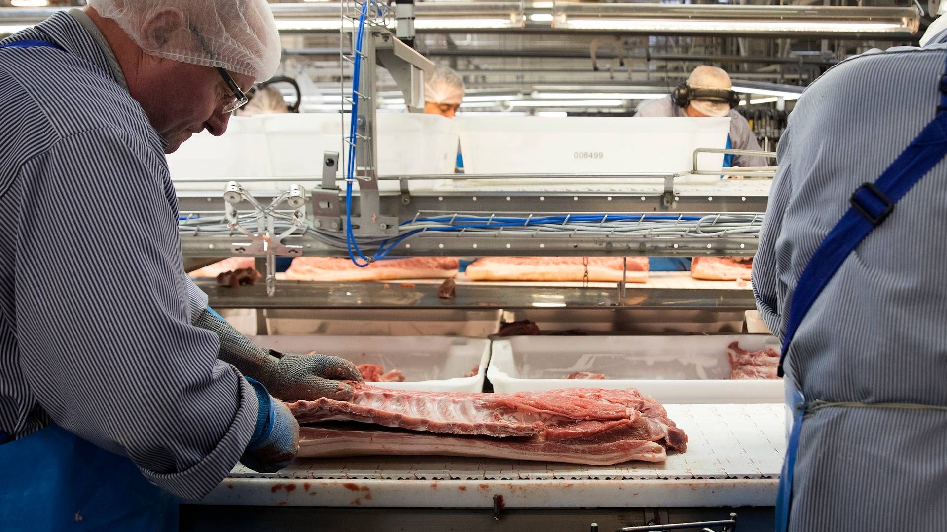 Der er pt. ikke udsigt til yderligere prisstigninger på slagtesvin, lyder det fra Danske Svineproducenter. | Foto: Finn Frandsen/Politiken/Ritzau Scanpix