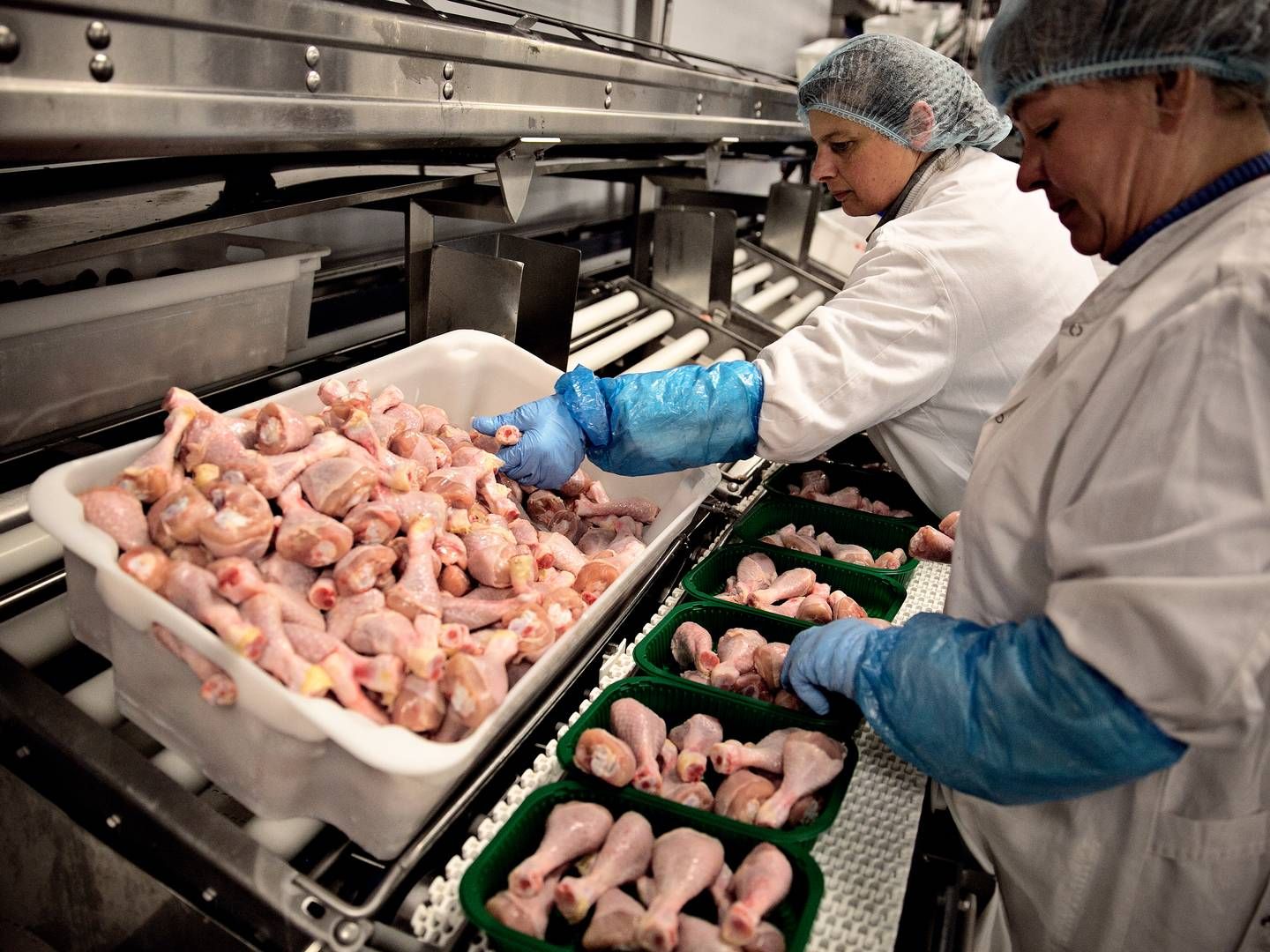Kyllingeproducenten Danpo har svært ved at få afsat hele kyllingen og må forsøge at sælge den i udlandet. "Og der er efterspørgslen efter langsomvoksende ikke til stede,” fortæller adm. direktør Kasper Lenbroch. | Foto: Joachim Adrian