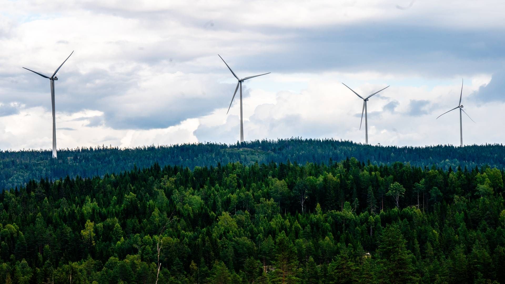 Vindkraftverk som hører til Odal vindpark som ligger i Nord-Odal kommune. Vindparken består av 34 turbiner. | Foto: Annika Byrde / NTB