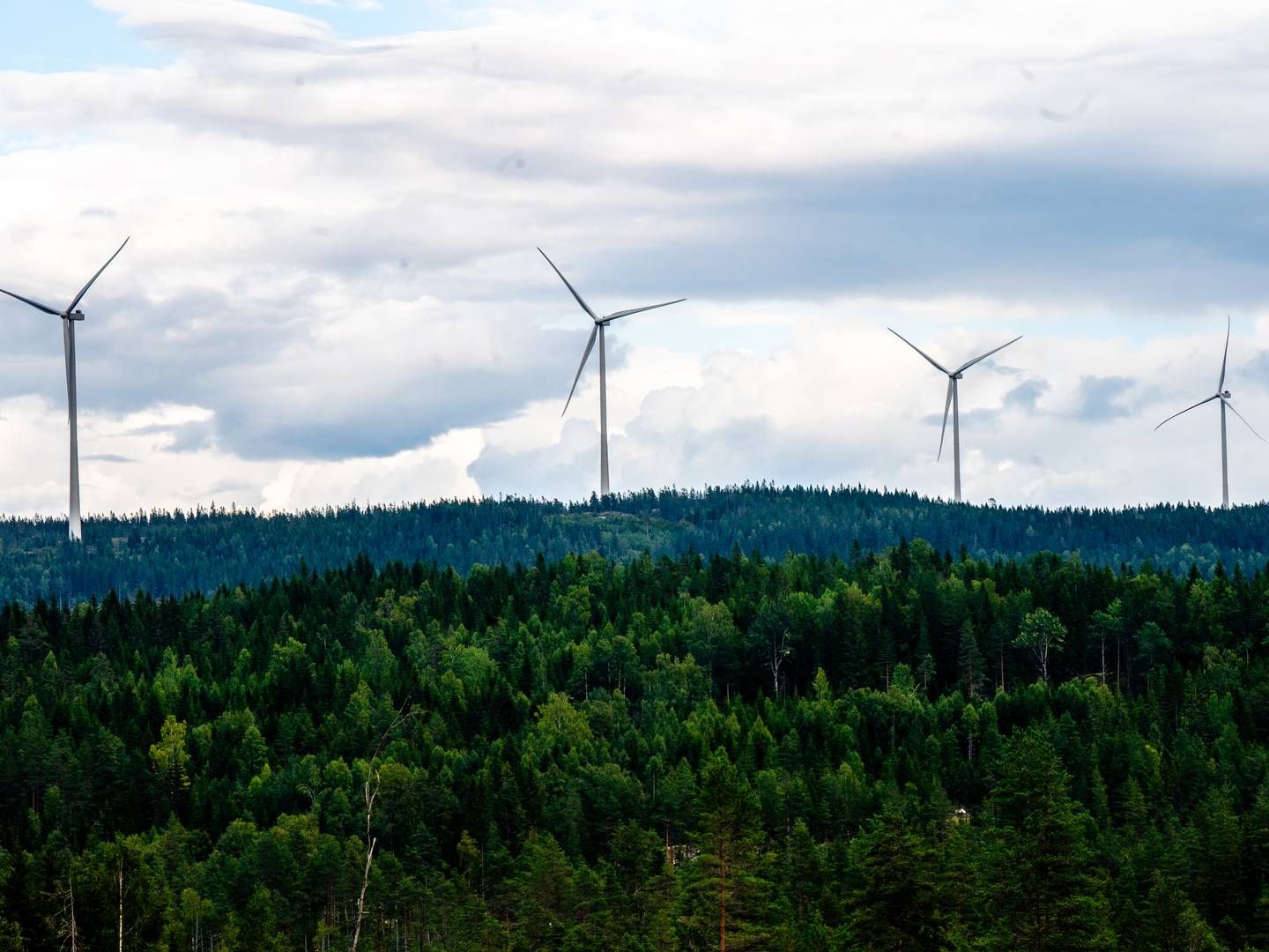 Vindkraftverk som hører til Odal vindpark som ligger i Nord-Odal kommune. Vindparken består av 34 turbiner. | Foto: Annika Byrde / NTB
