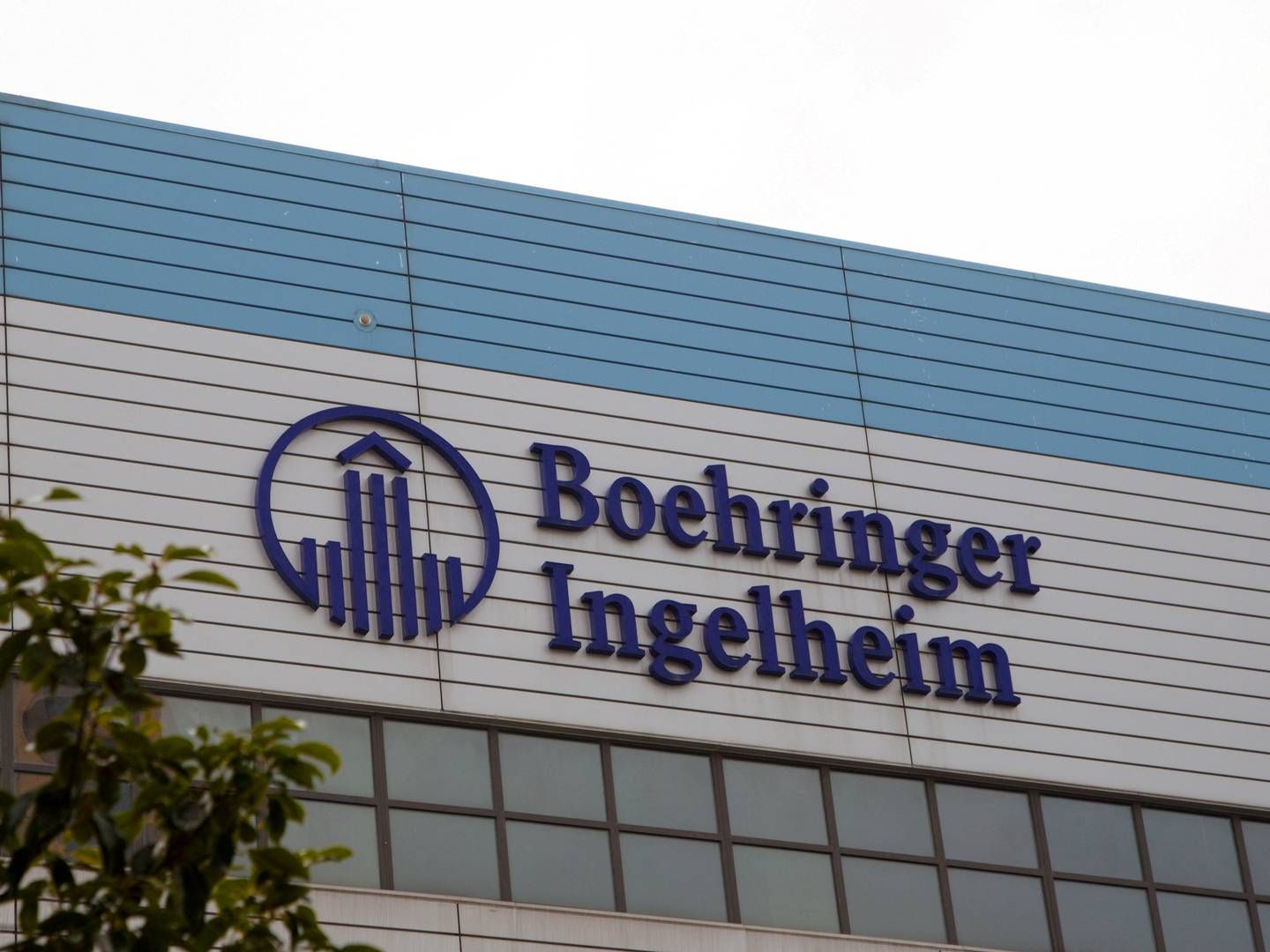 Det tyske lægemiddelfirma Boehringer Ingelheim opnåede et samlet salg på 22,5 milliarder dollar inden for lægemidler for hele året. | Foto: China Stringer Network