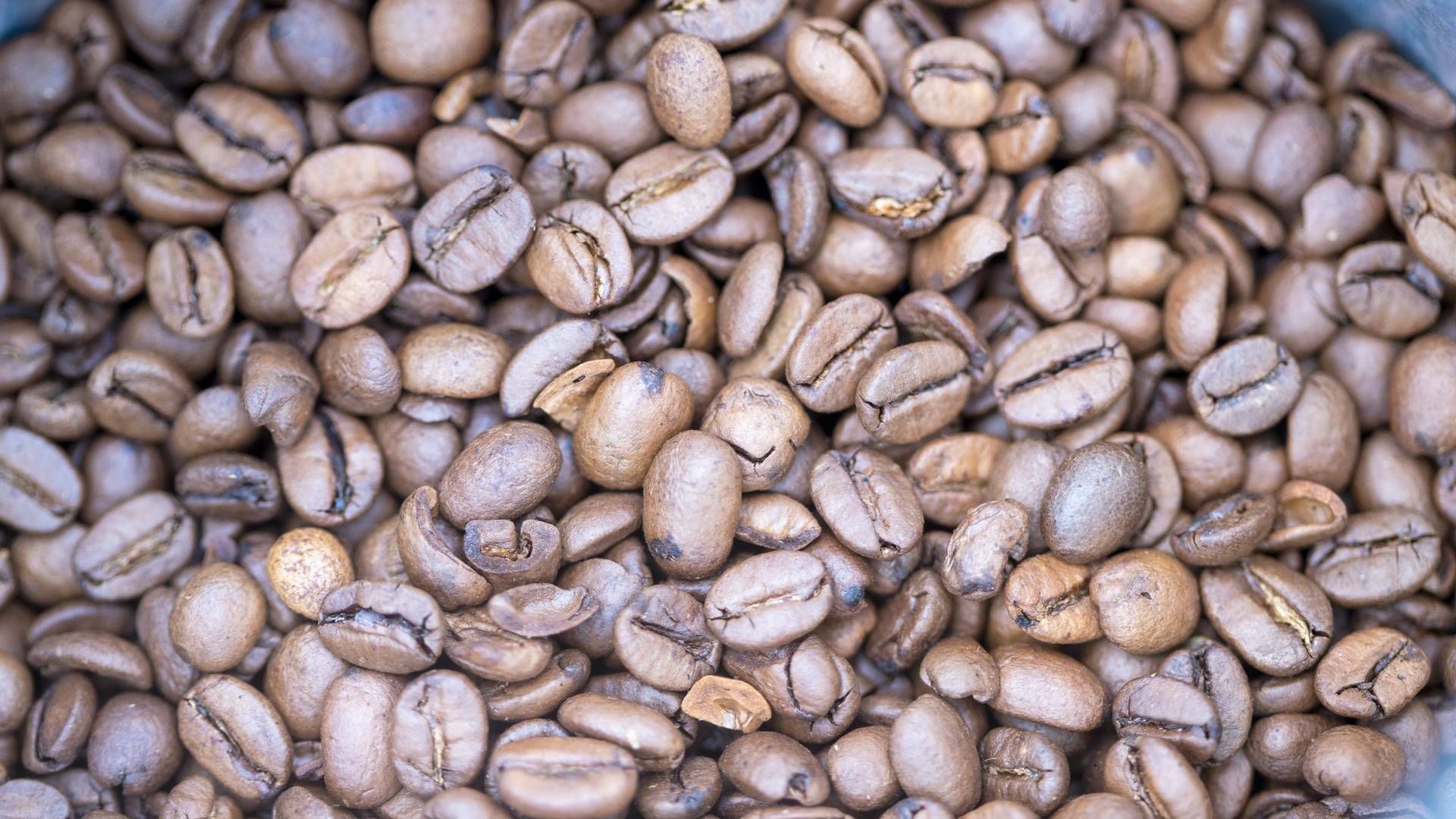 Ingen kjenner fasiten, likevel er det tegn på at råvareprisen for kaffe skal ned, mener kaffeimportører. | Foto: Terje Pedersen / NTB