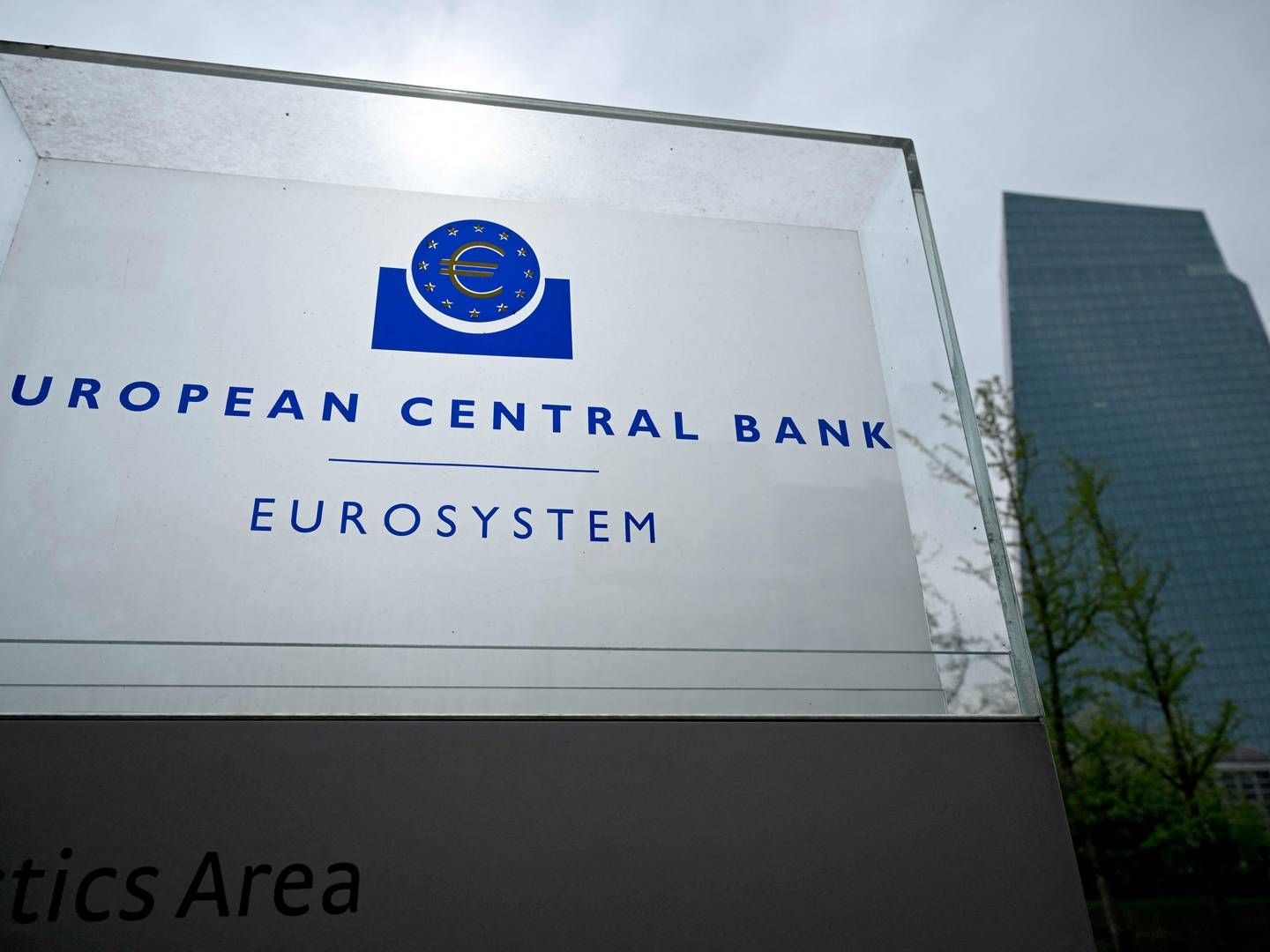 ECB har i øjeblikket en indskudsrente på 4 pct. | Foto: Kirill Kudryavtsev