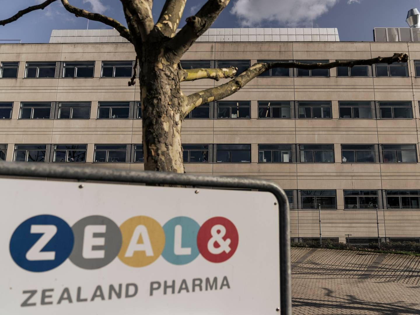 Biotekselskabet Zealand Pharma rejste i januar i år et milliardbeløb gennem salg af aktier, men det er ifølge Insidebusiness en af blot to transaktioner i form af aktiesalg hidtil i 2024. | Foto: Thomas Traasdahl
