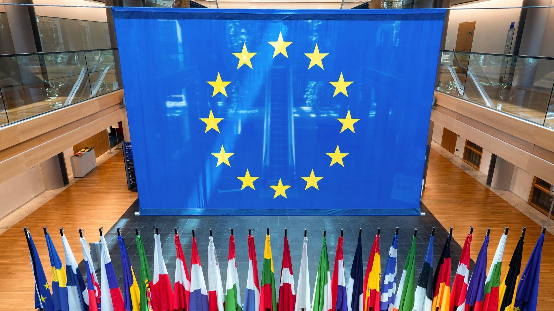 Die Fahnen der EU-Mitgliedsstaaten im Europäischen Parlament in Straßburg. | Foto: picture alliance / | Daniel Kalker