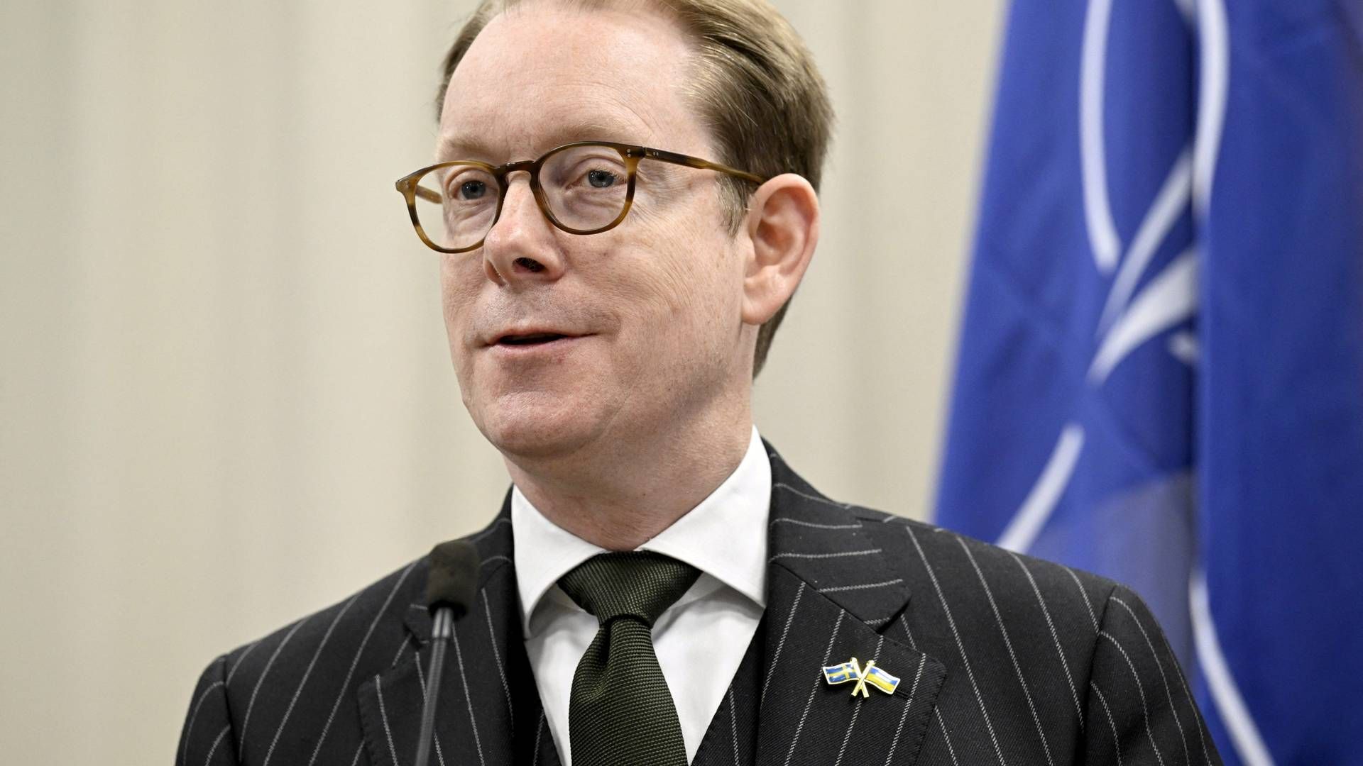 Udenrigsministeren Tobias Billström vil konkret have strengene krav til håndhævelsen af sanktionerne. | Foto: Vesa Moilanen/Reuters/Ritzau Scanpix