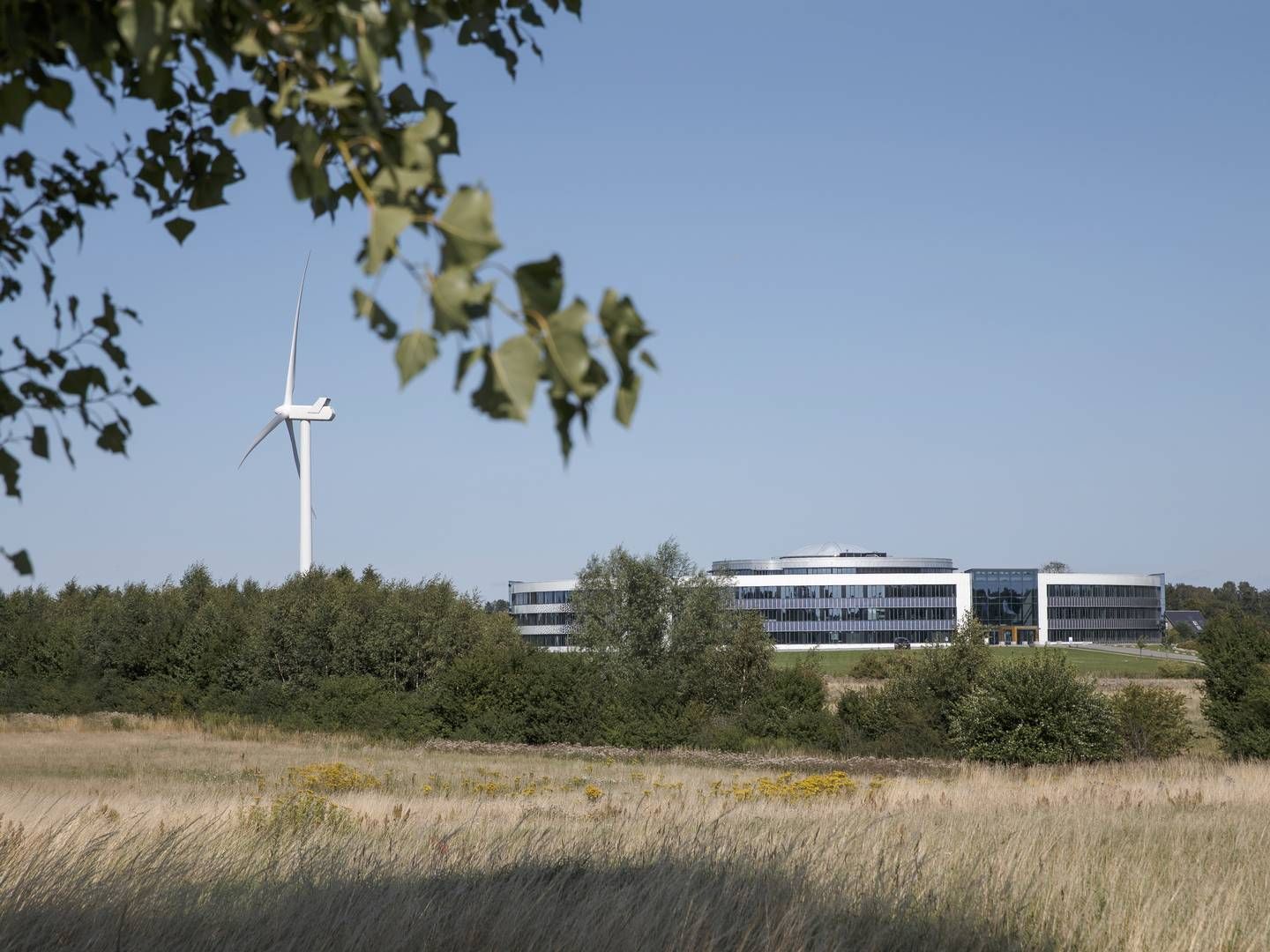 WS Audiology is headquartered in Lynge, Denmark. | Foto: Ws Audiology / Pr