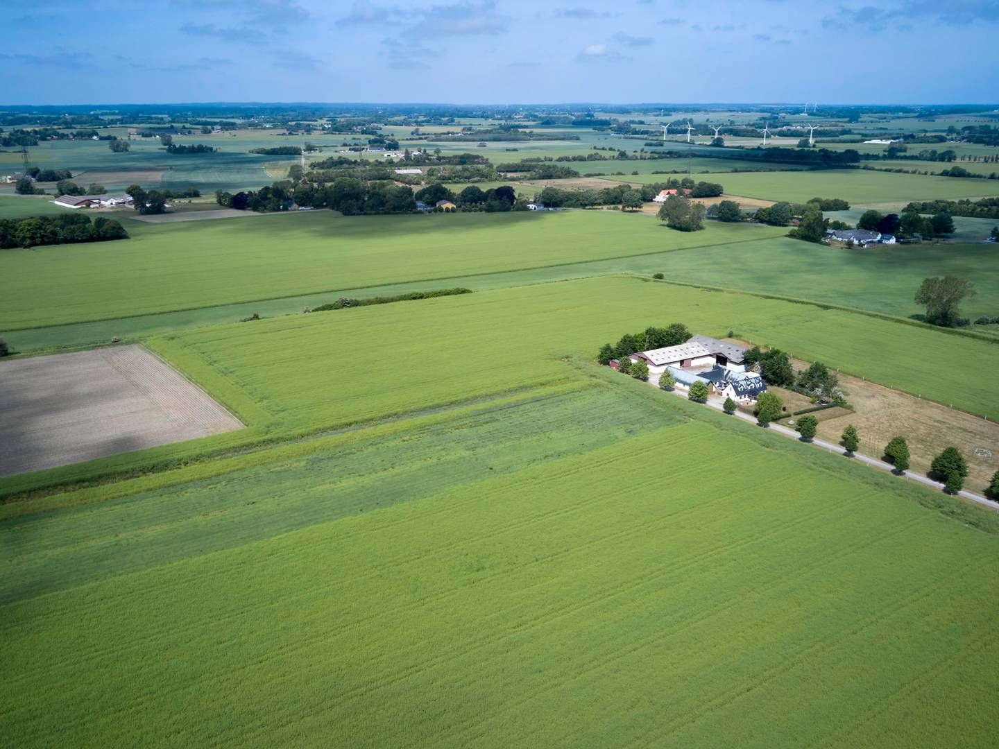 Der bliver længere mellem landbrugsarealerne i fremtiden. | Foto: Jens Dresling/Ritzau Scanpix